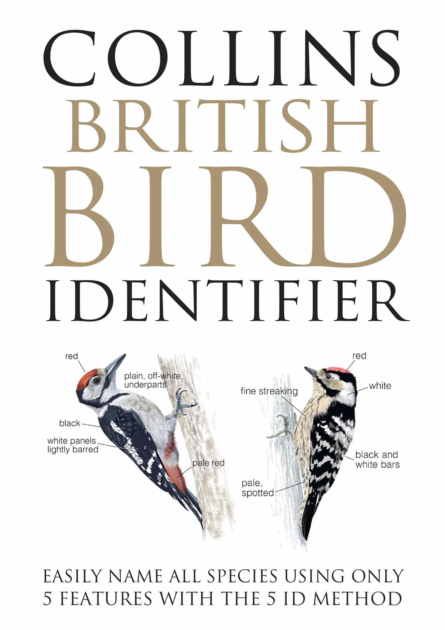 Collins British Bird Identifier: A revolution in bird identification