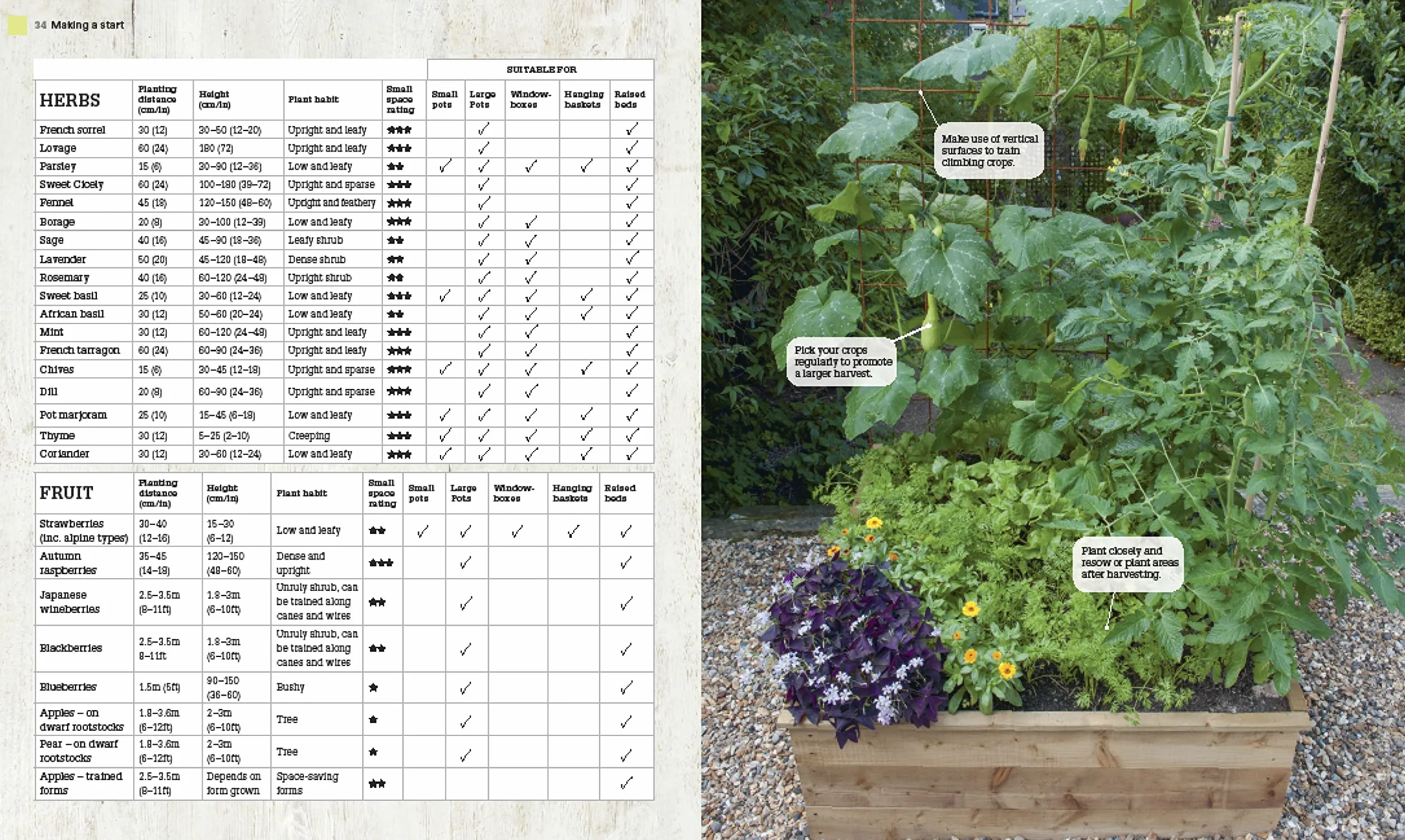 Grow All You Can Eat In Three Square Feet: Inventive Ideas for Growing Food in a Small Space