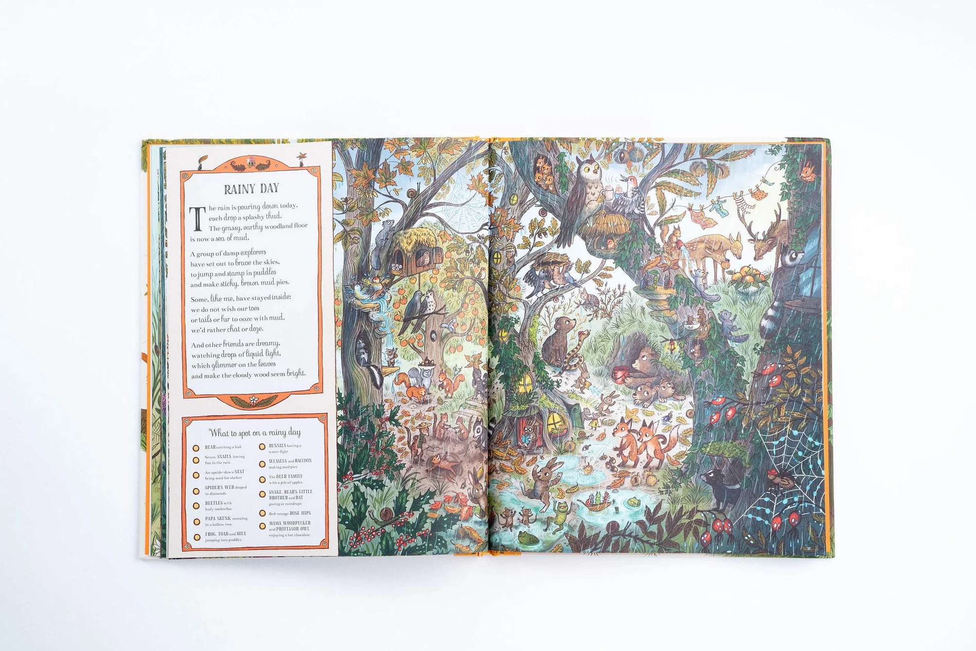 If You Go Down to the Woods Today: More than 100 things to find