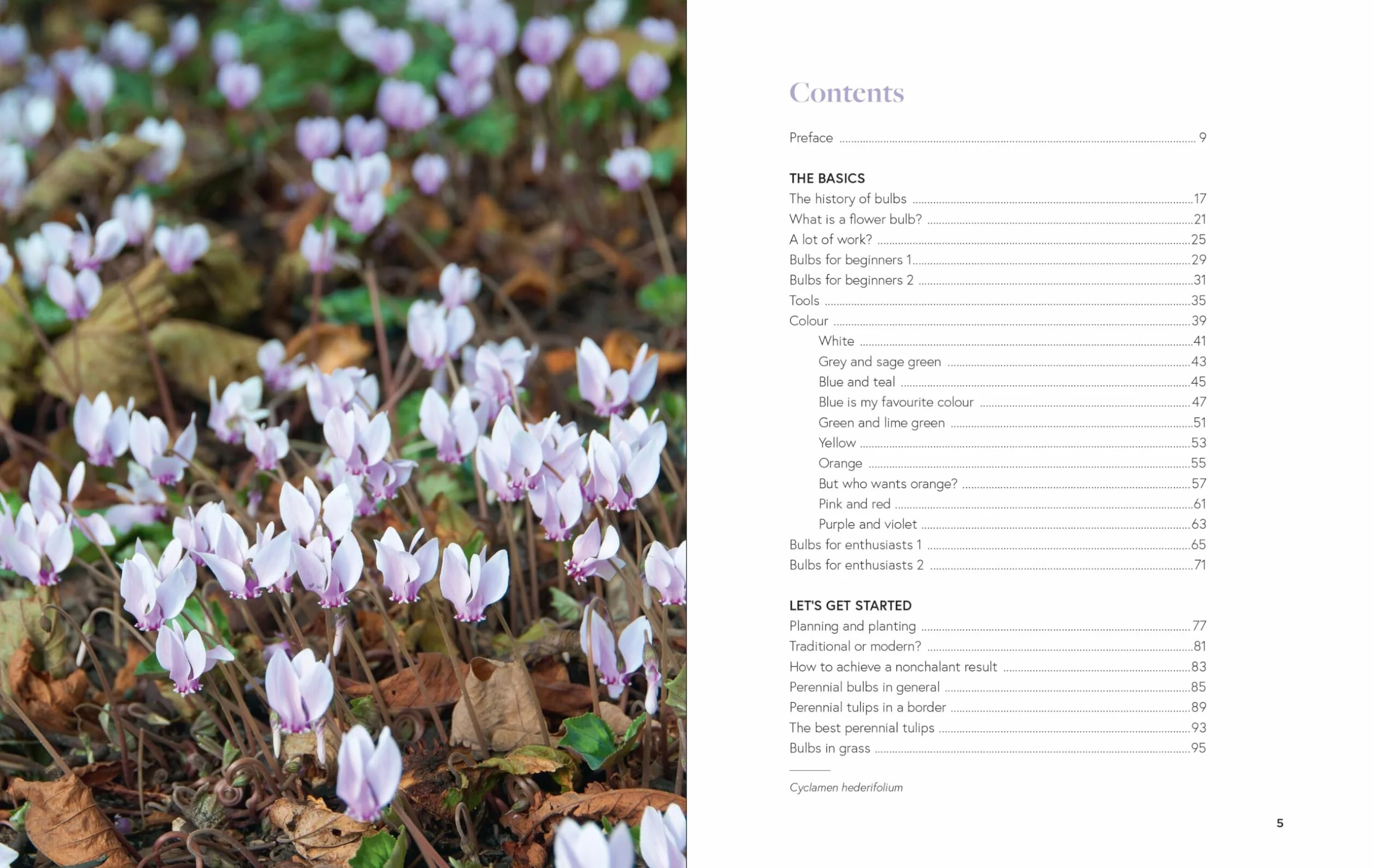 Growing Bulbs in the Natural Garden: Innovative Techniques for Combining Bulbs and Perennials in Every Season