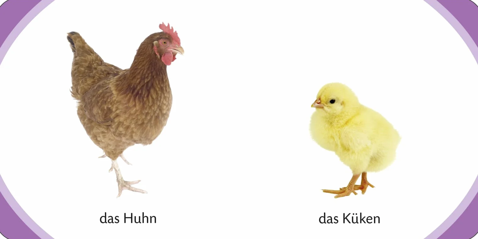 Kennst du das? Meine kleine Tierwelt (Würfel): ab 12 Monaten: 13