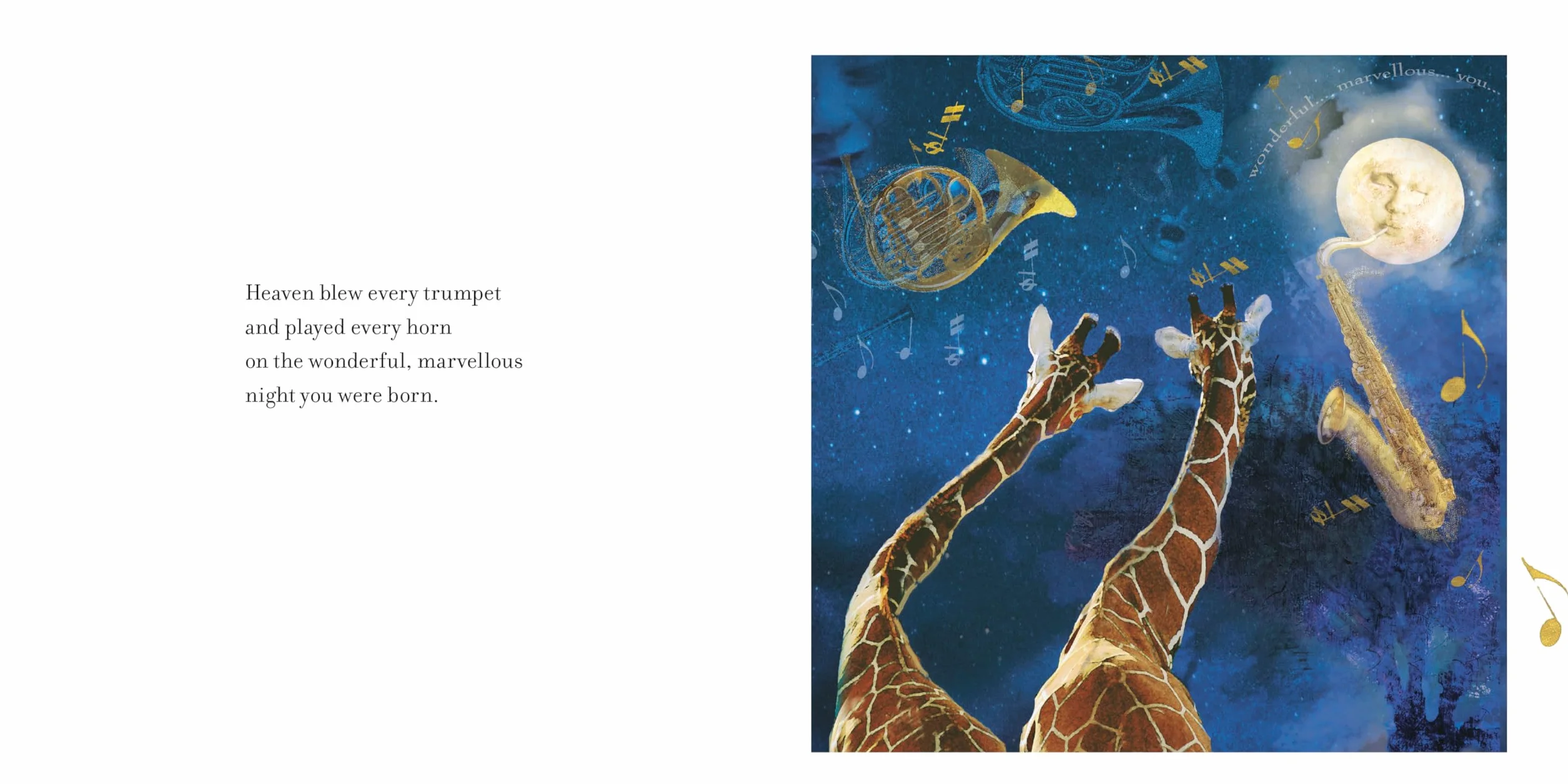 On the Night You Were Born: A Special Gift for a New Baby