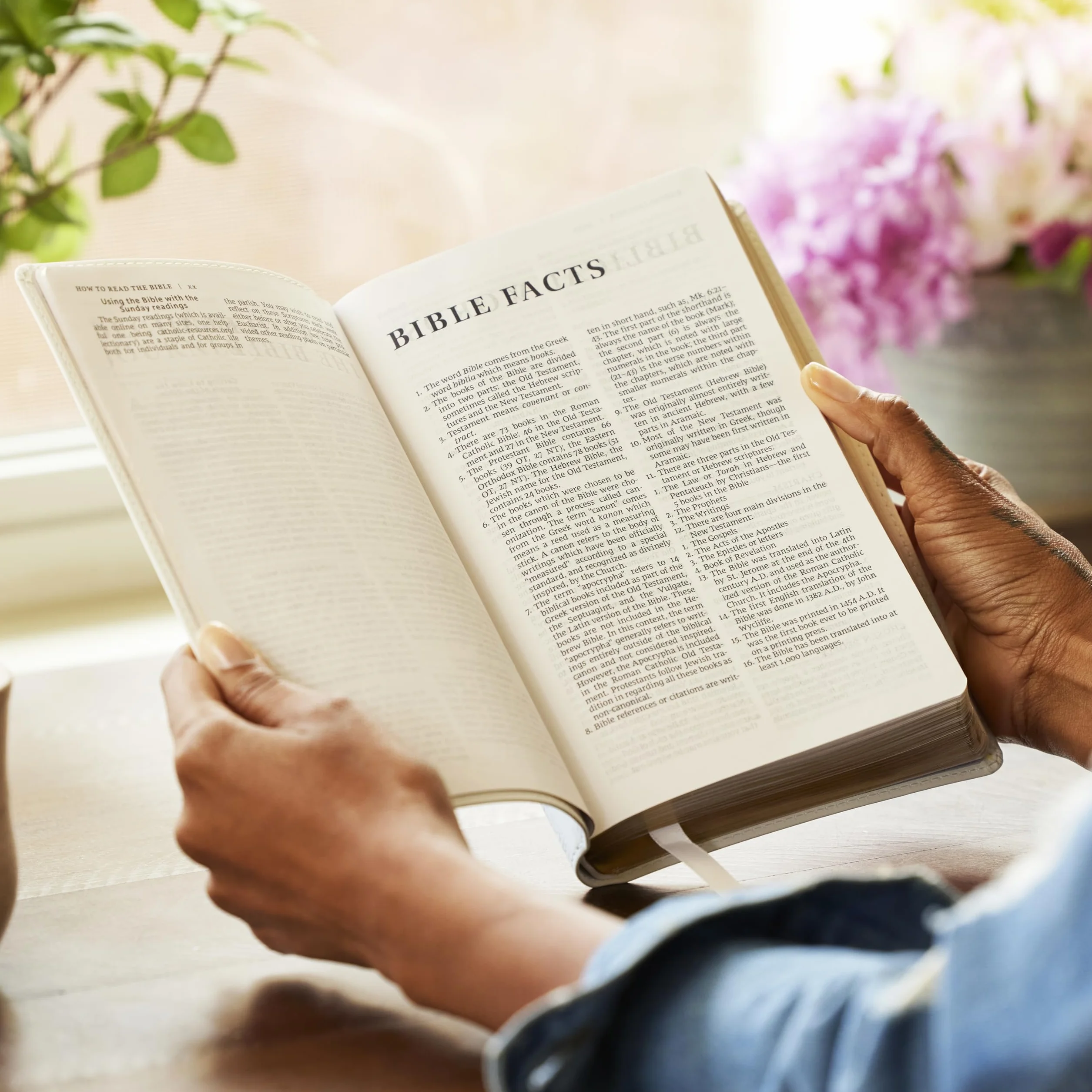 Nrsv, Catholic Bible, Gift Edition, Leathersoft, Brown, Comfort Print: Holy Bible