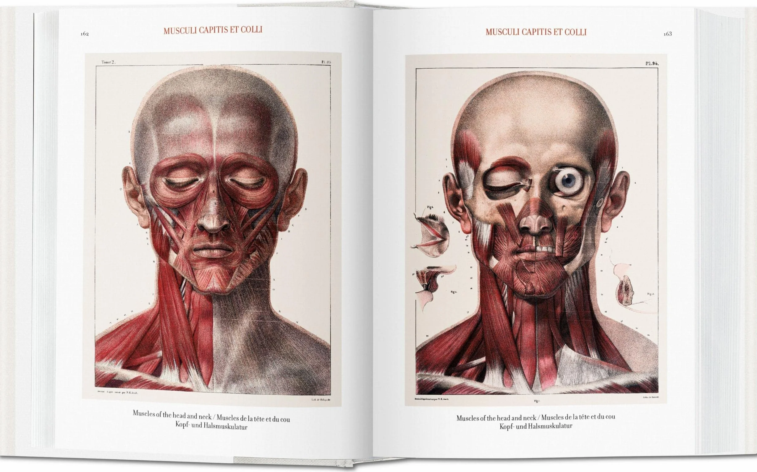 Atlas of Human Anatomy and Surgery