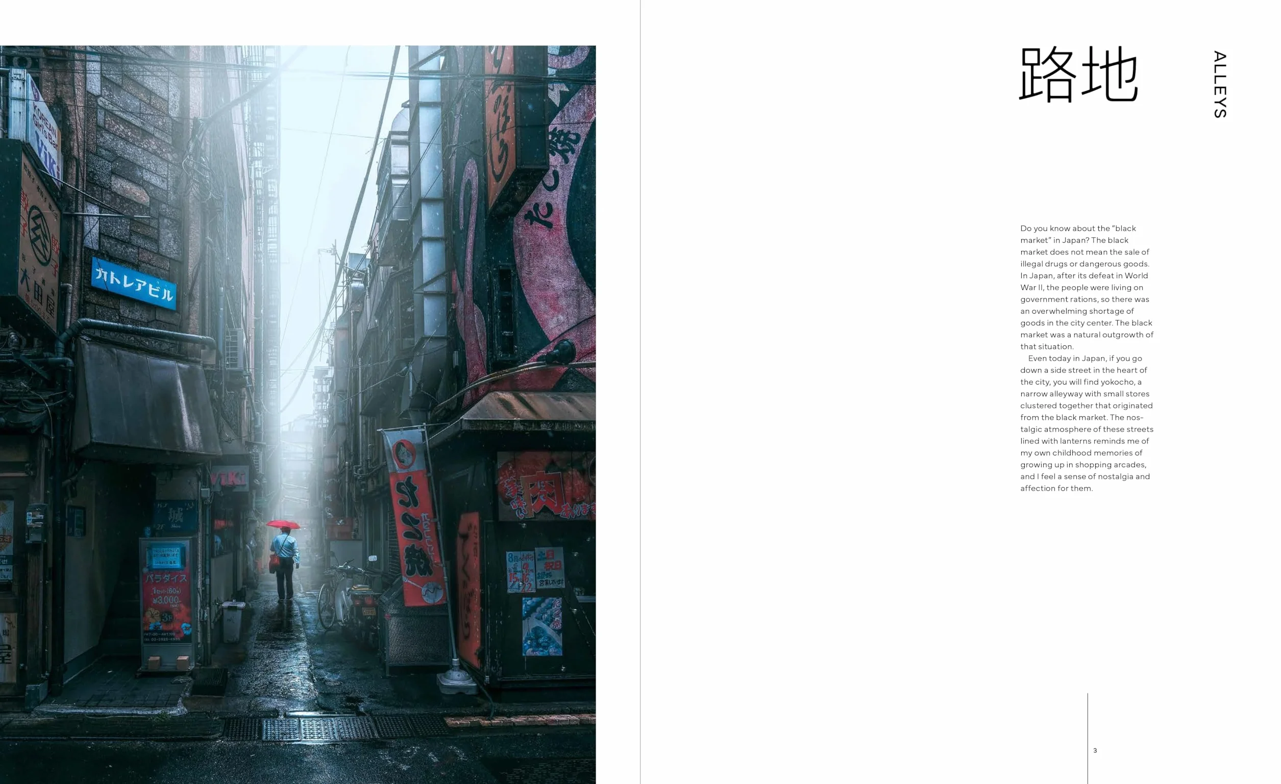 Street Level Japan: Experience the Bustling Streets of Japanese Cities