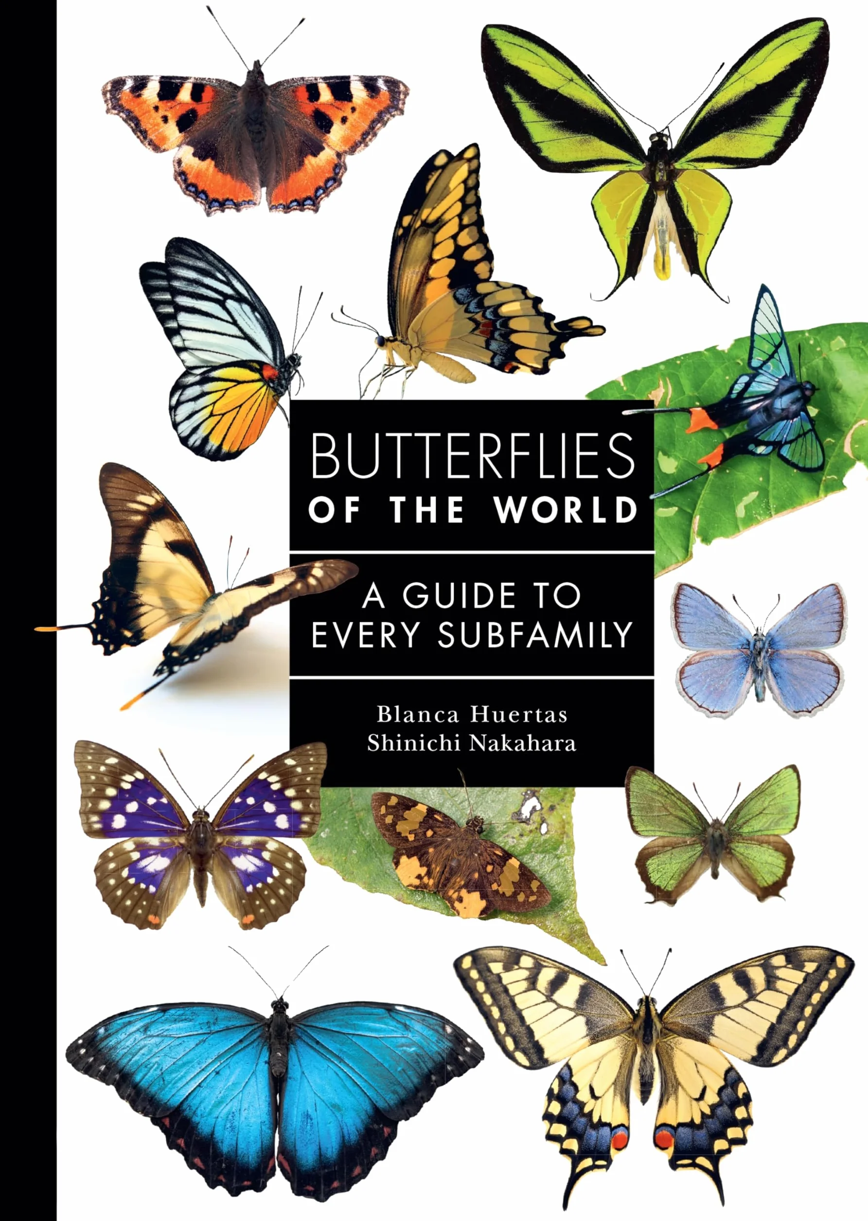 Butterflies of the World: A Guide to Every Subfamily