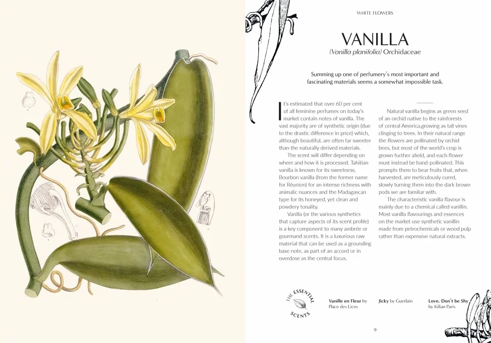 Kew - Fragrance: From Plant to Perfume, the Botanical Origins of Scent