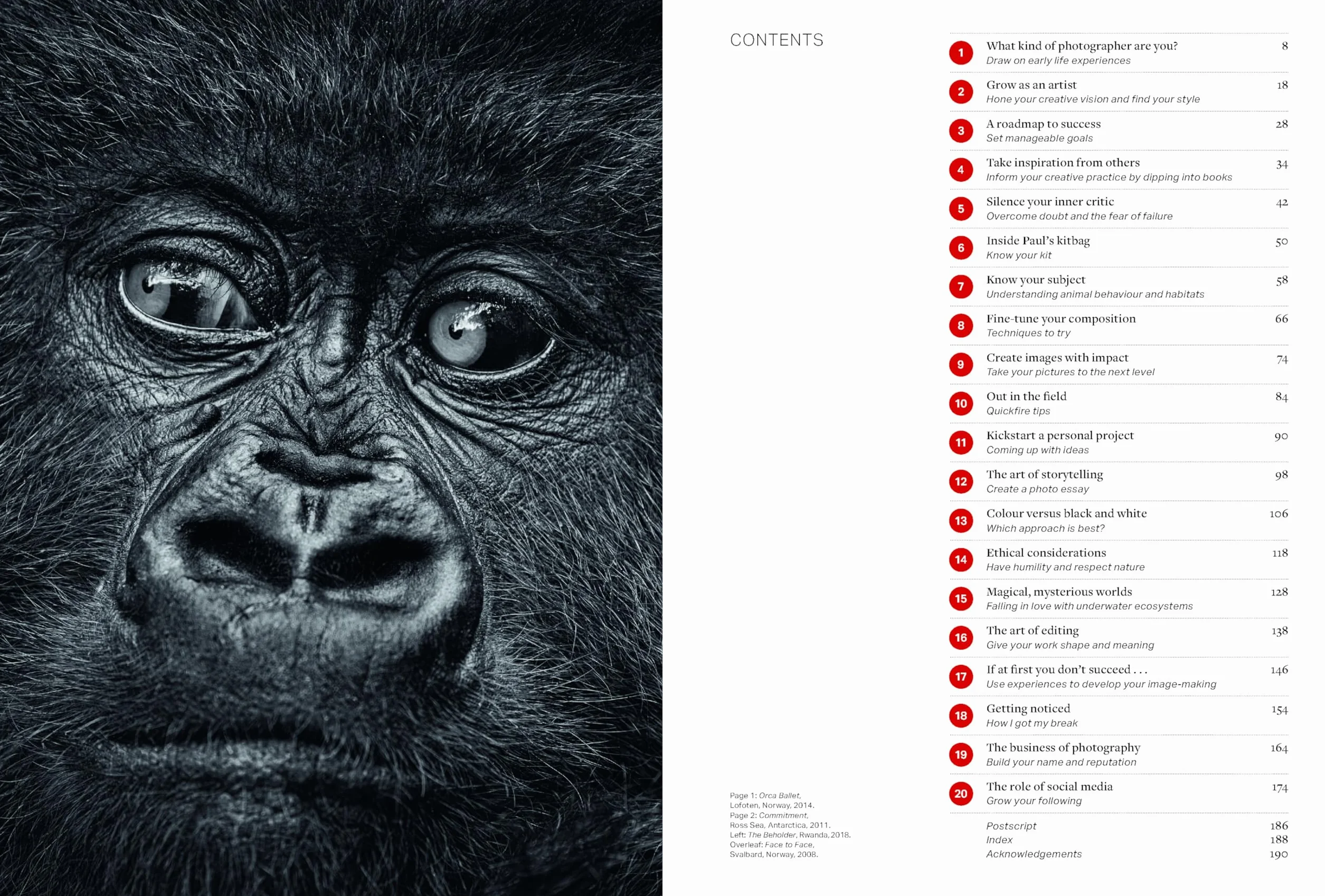 Paul Nicklen: A Photography Masterclass