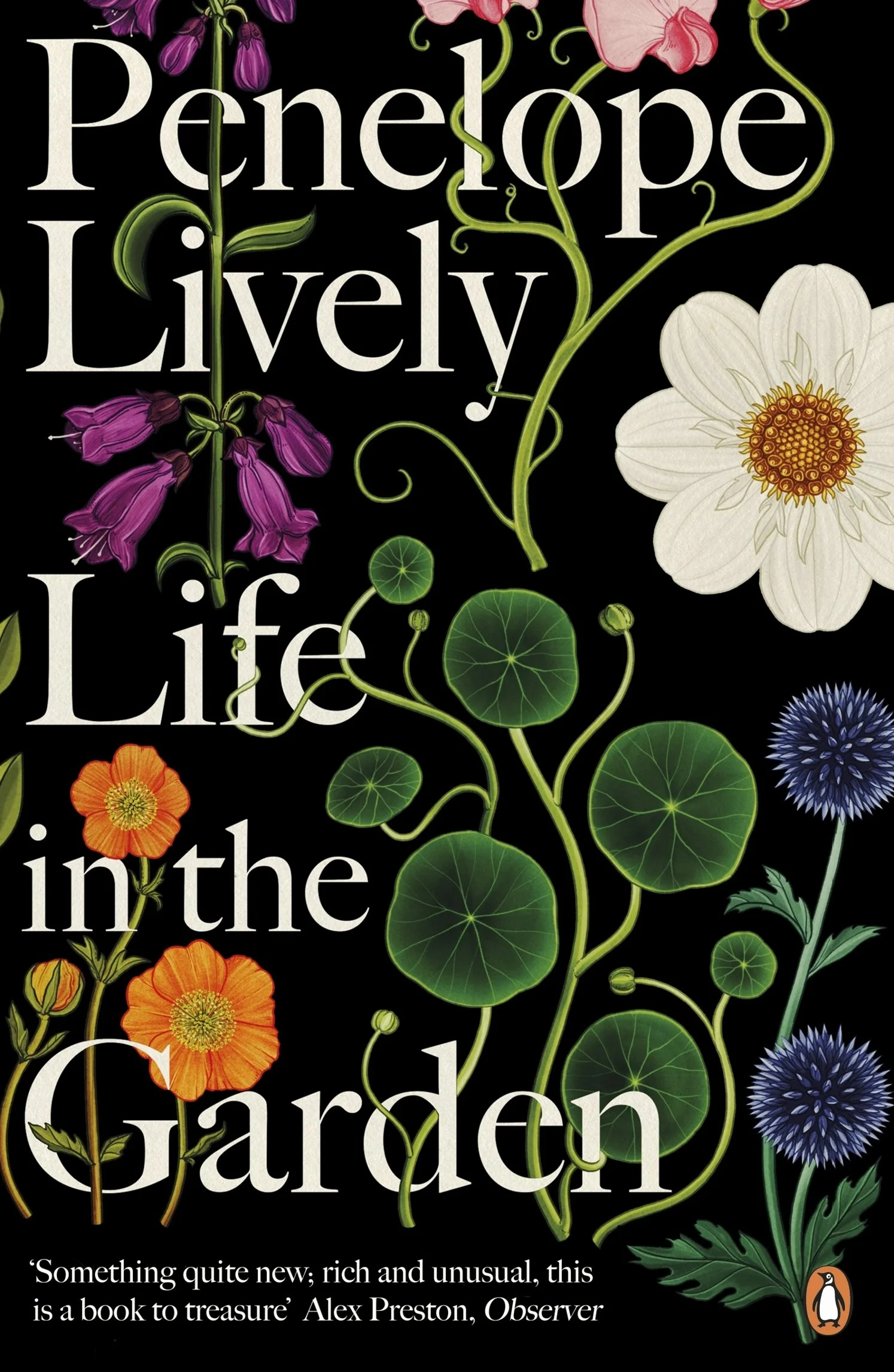 Life in the Garden