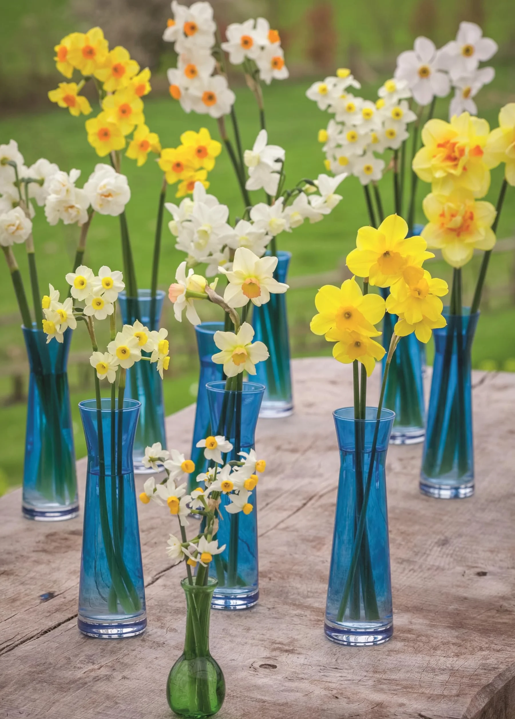 A Year of Cut Flowers: A life of growing and arranging for all seasons