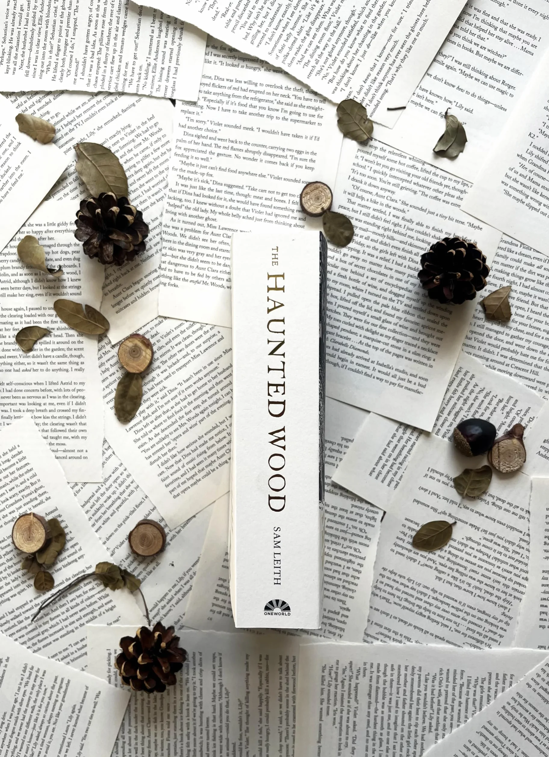 The Haunted Wood: A History of Childhood Reading