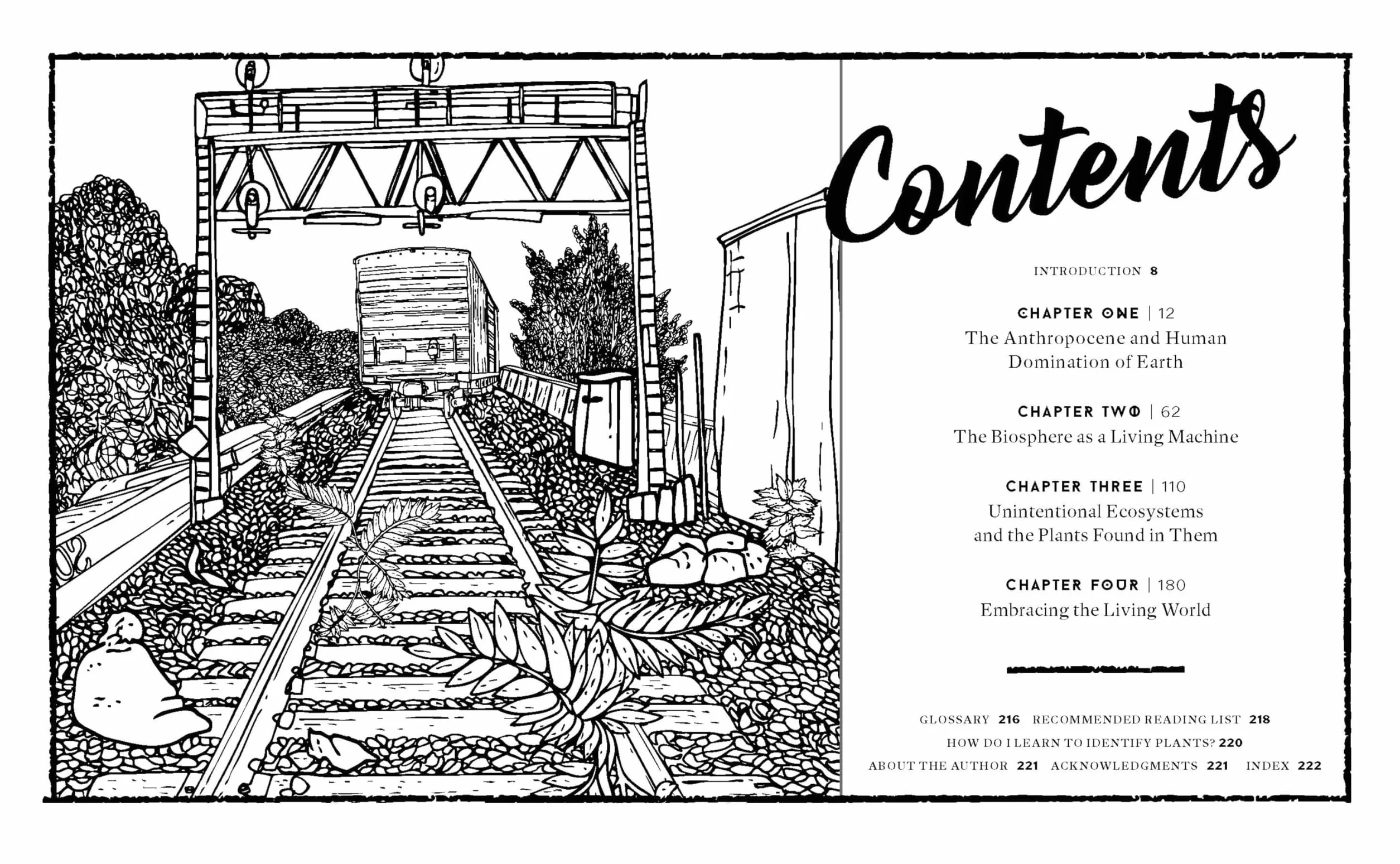 Concrete Botany: The Ecology of Plants in the Age of Human Disturbance