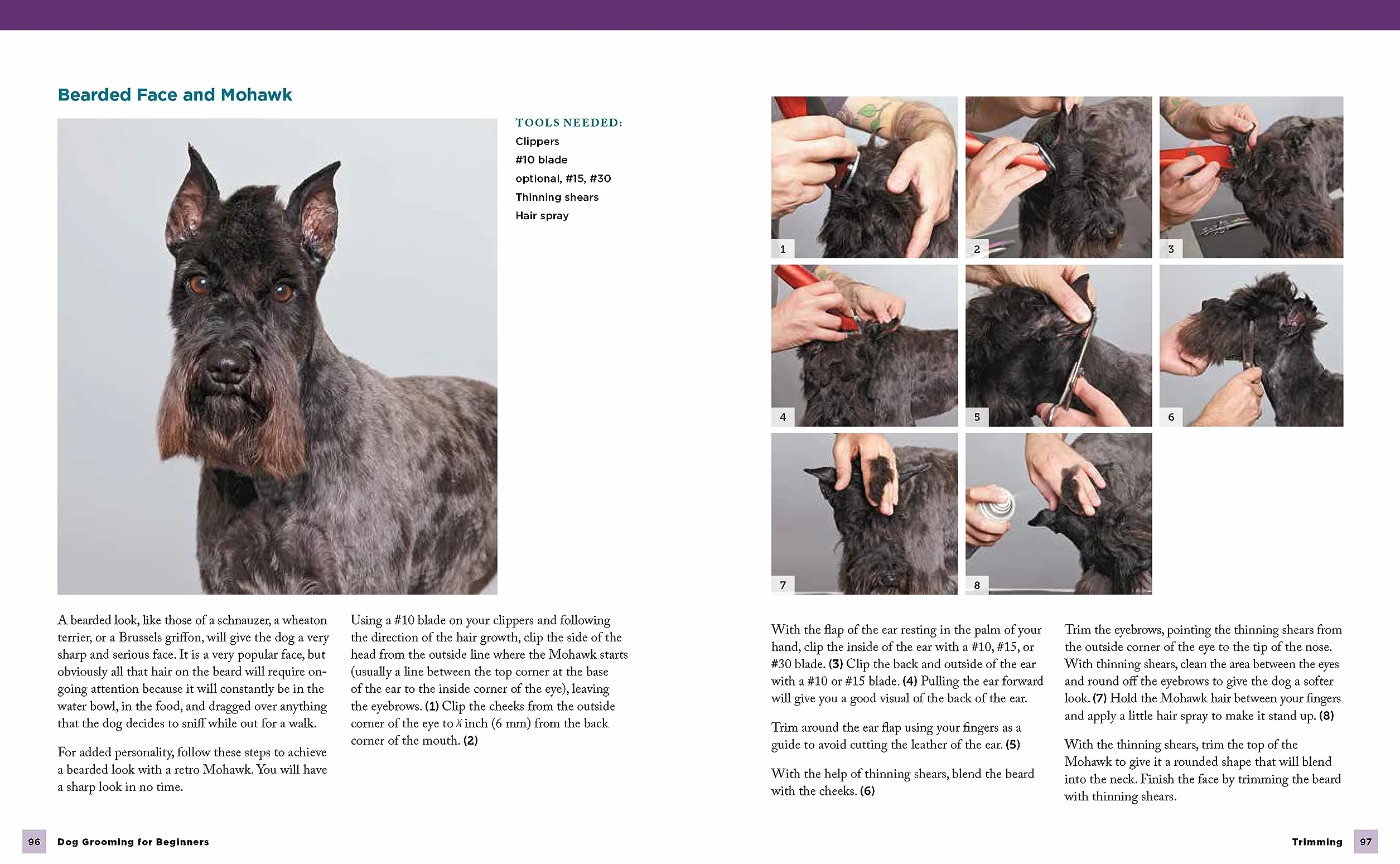 Dog Grooming for Beginners: Simple Techniques for Washing, Trimming, Cleaning & Clipping All Breeds of Dogs