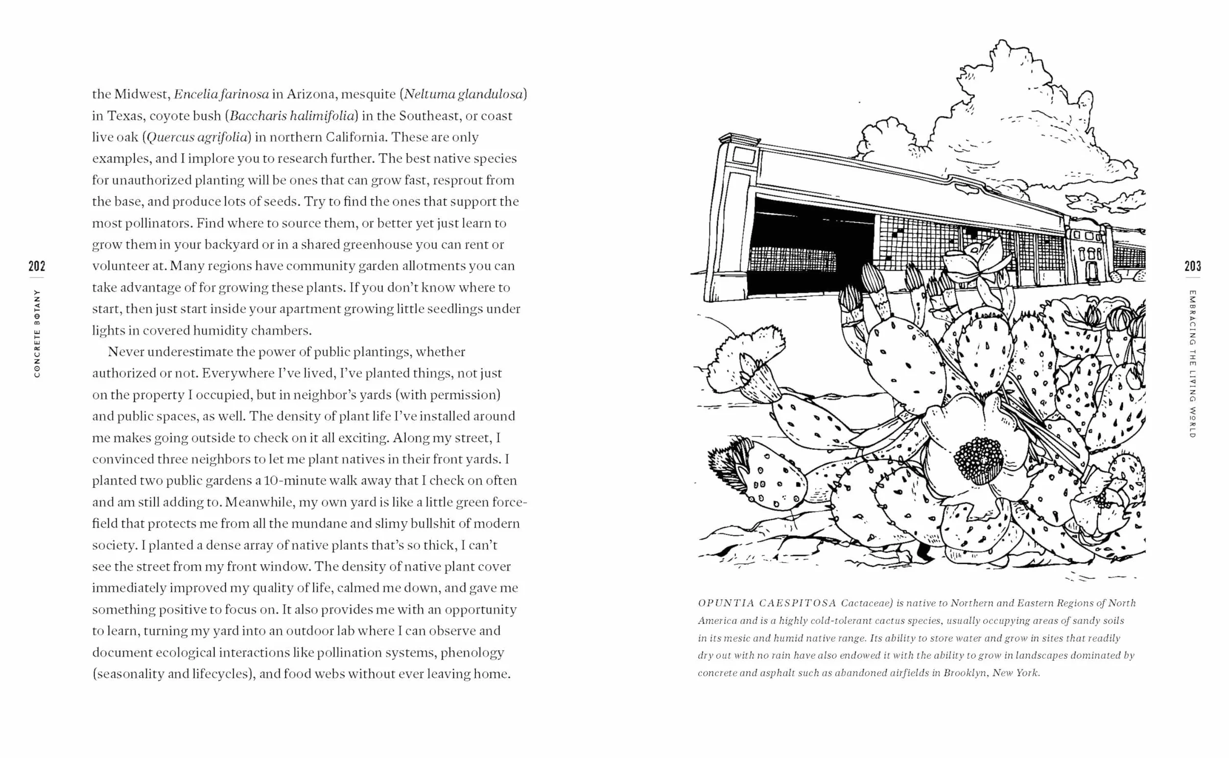 Concrete Botany: The Ecology of Plants in the Age of Human Disturbance