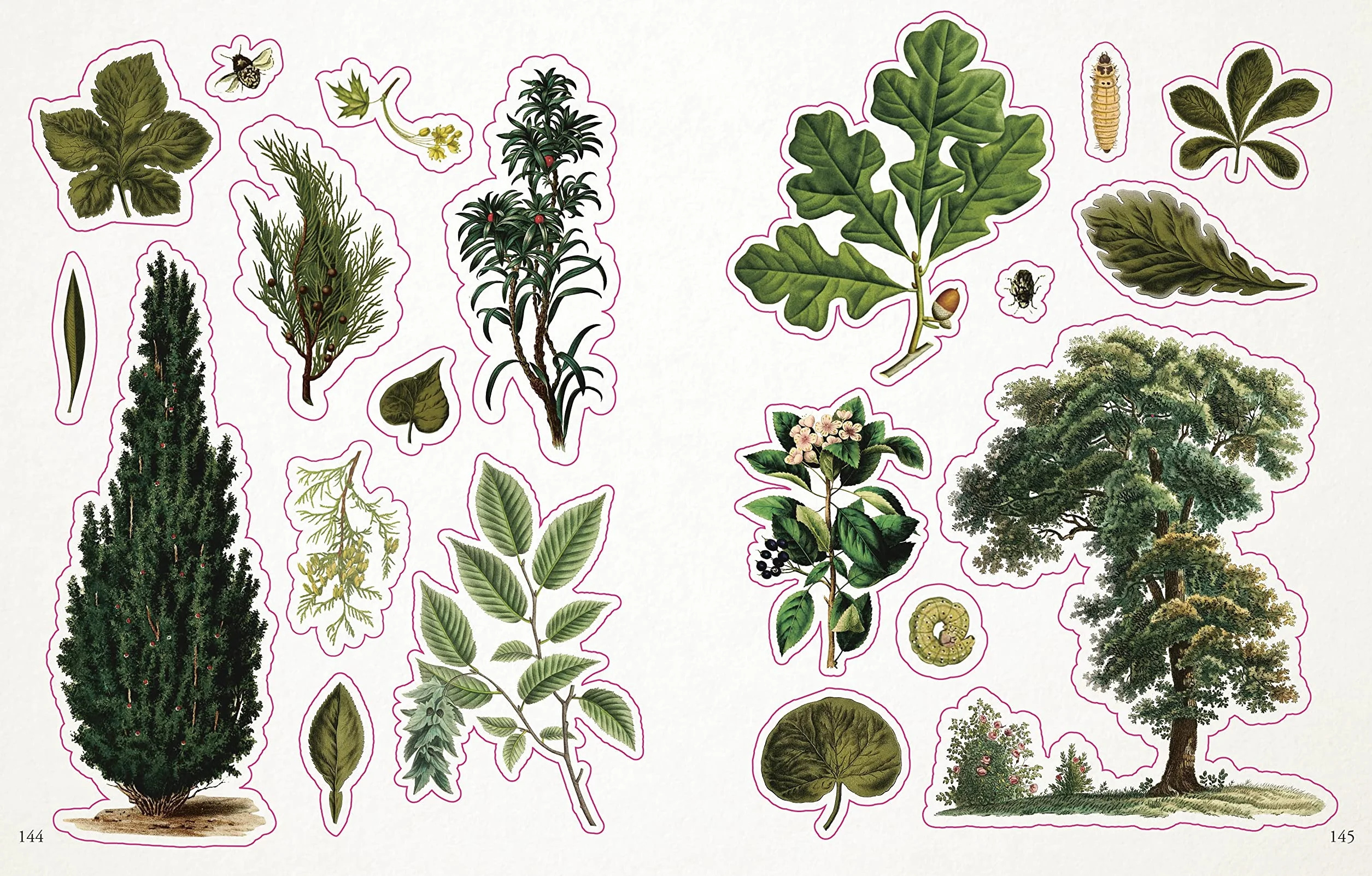 The Botanist's Sticker Anthology: With More Than 1,000 Vintage Stickers