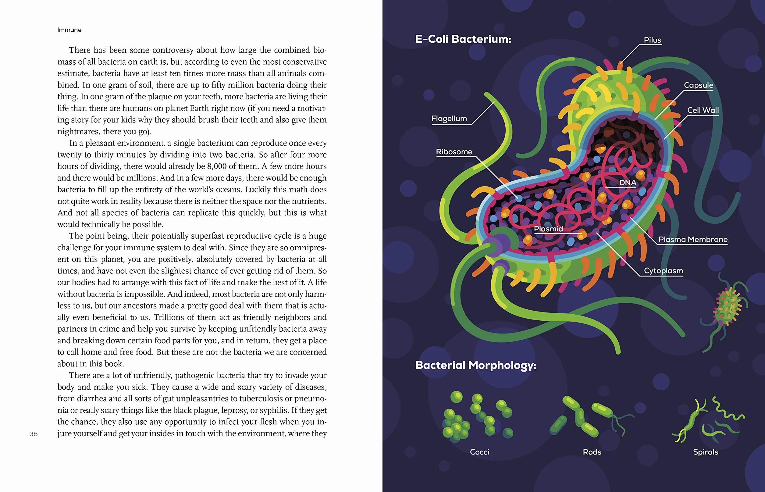 Immune: A Journey into the Mysterious System That Keeps You Alive