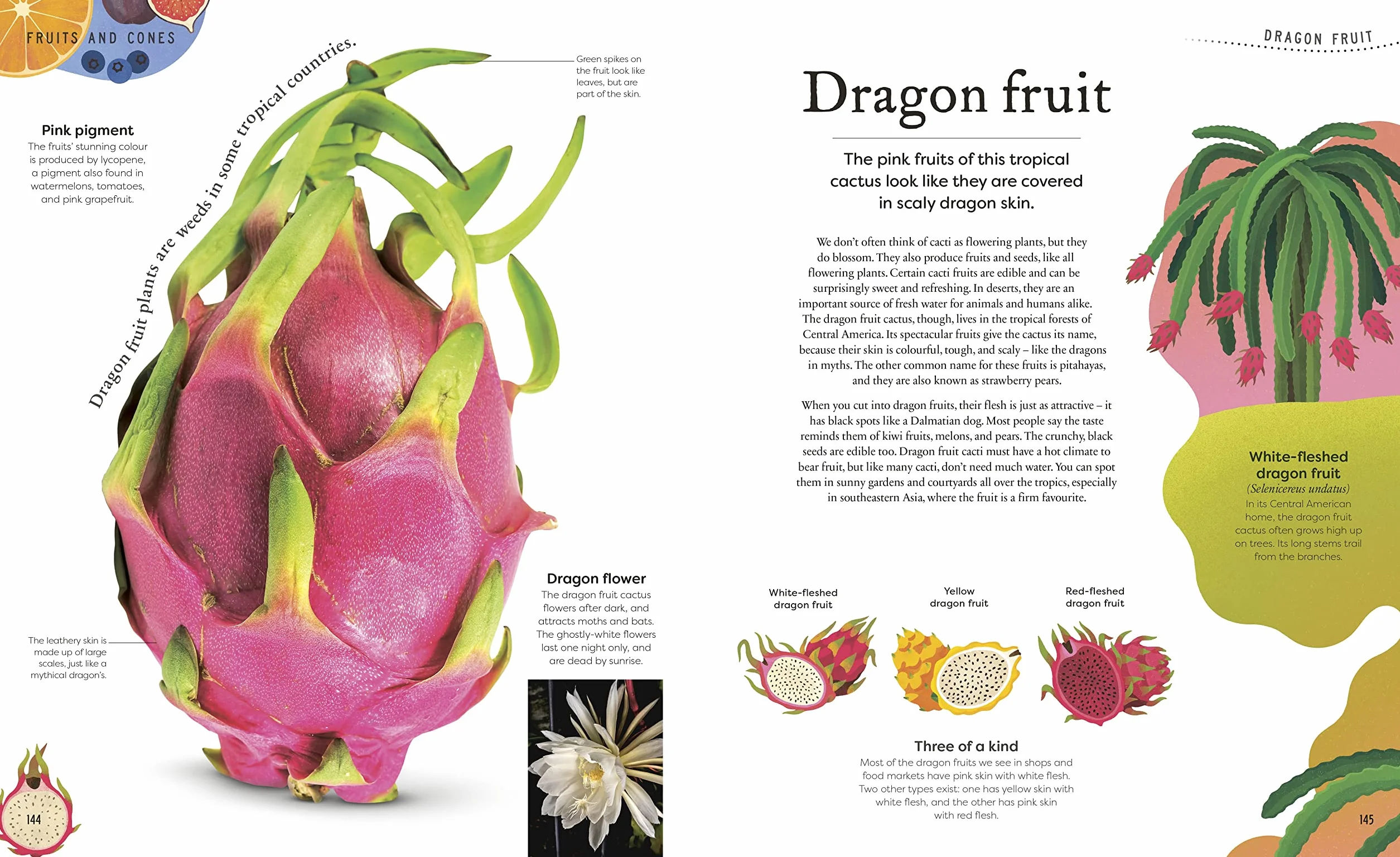 The Secret World of Plants: Tales of More Than 100 Remarkable Flowers, Trees, and Seeds