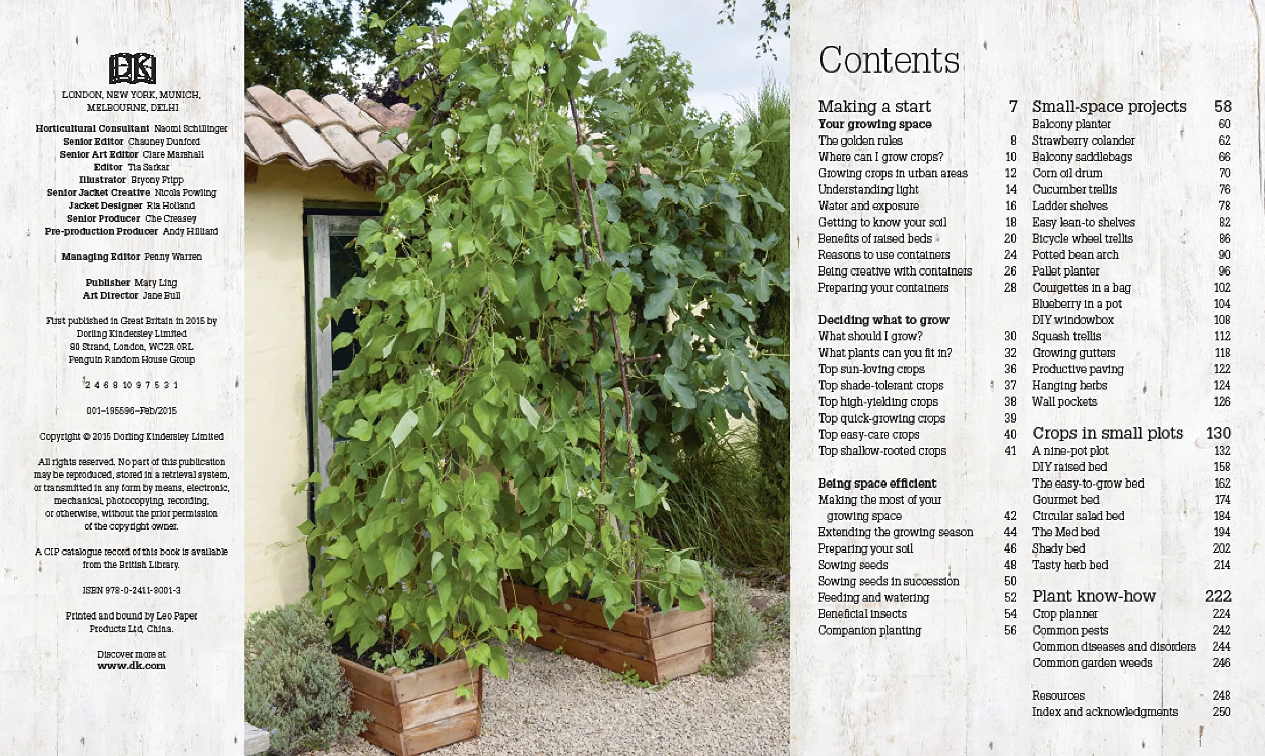 Grow All You Can Eat In Three Square Feet: Inventive Ideas for Growing Food in a Small Space