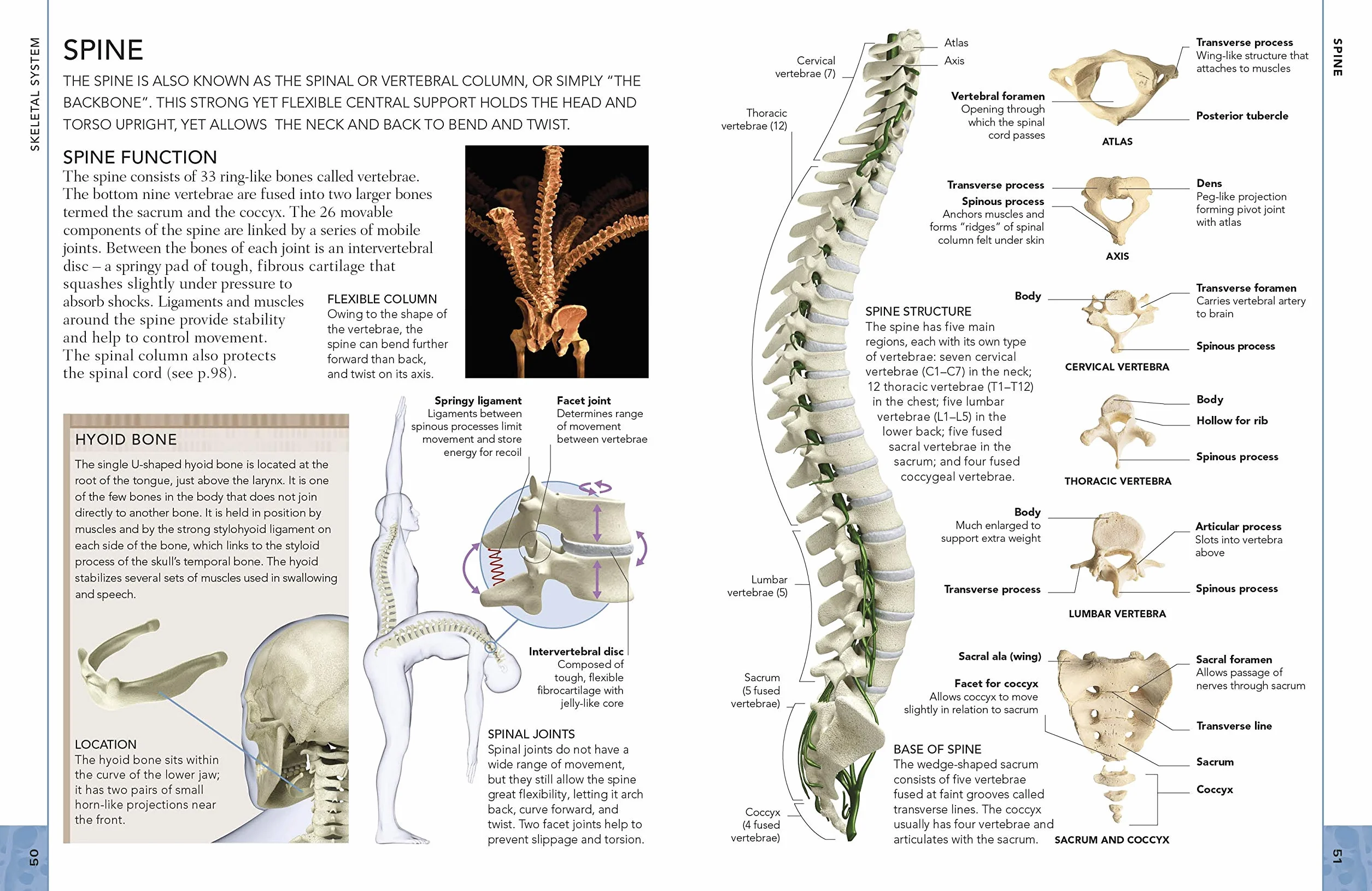 The Concise Human Body Book: An illustrated guide to its structure, function and disorders