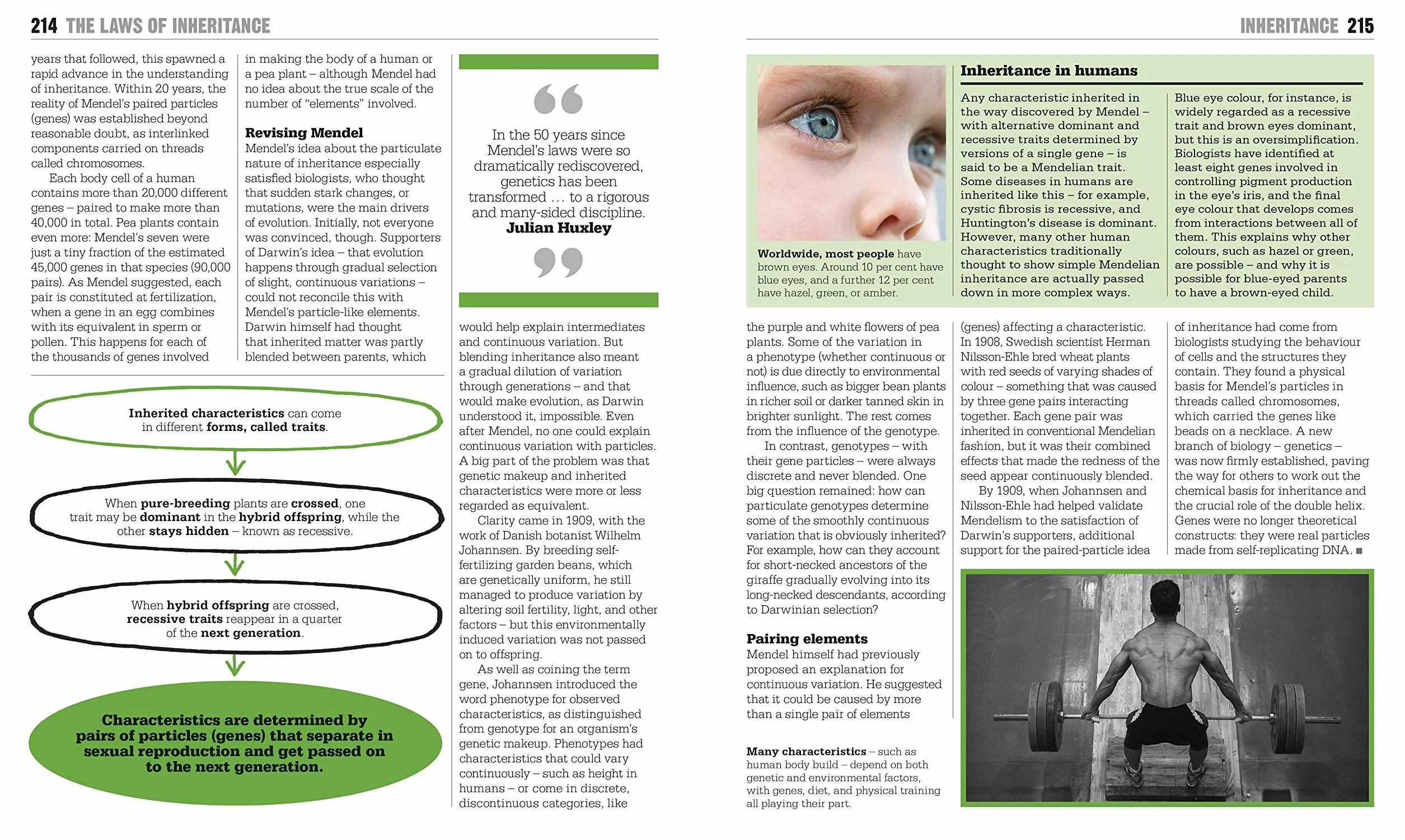 The Biology Book: Big Ideas Simply Explained