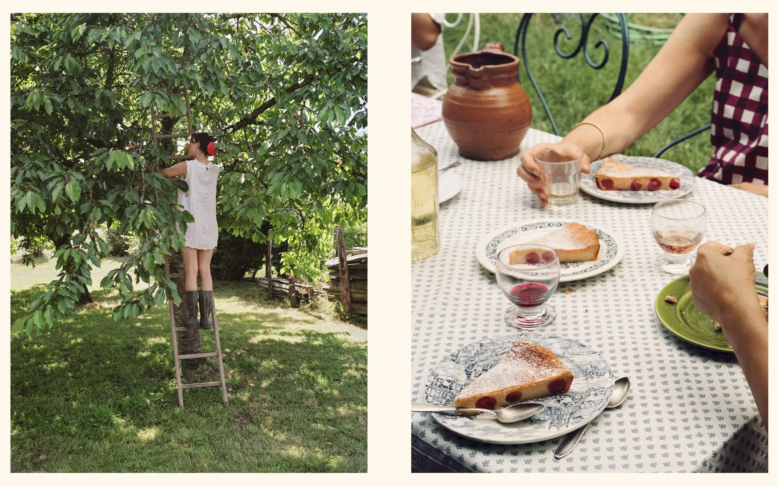 Cake from Lucie: Recipes and Techniques from the French Countryside to New York City: A Baking Book