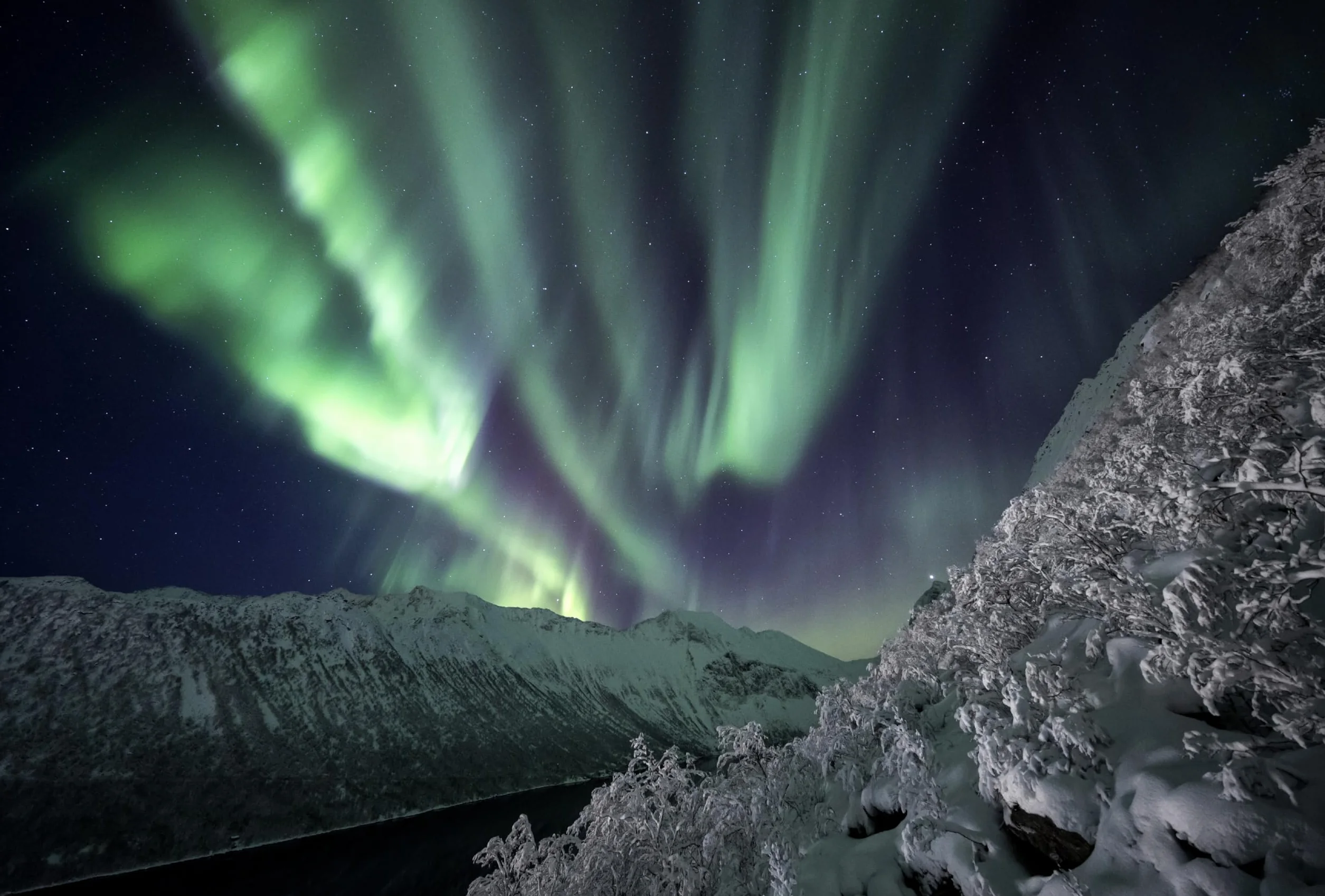 Paul Nicklen: A Photography Masterclass