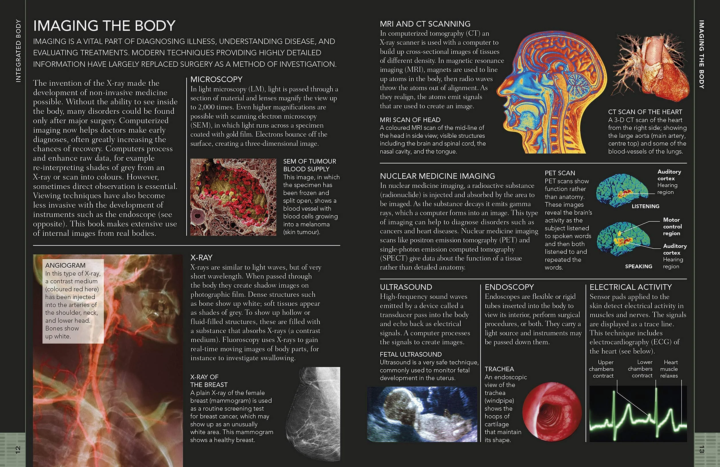 The Concise Human Body Book: An illustrated guide to its structure, function and disorders