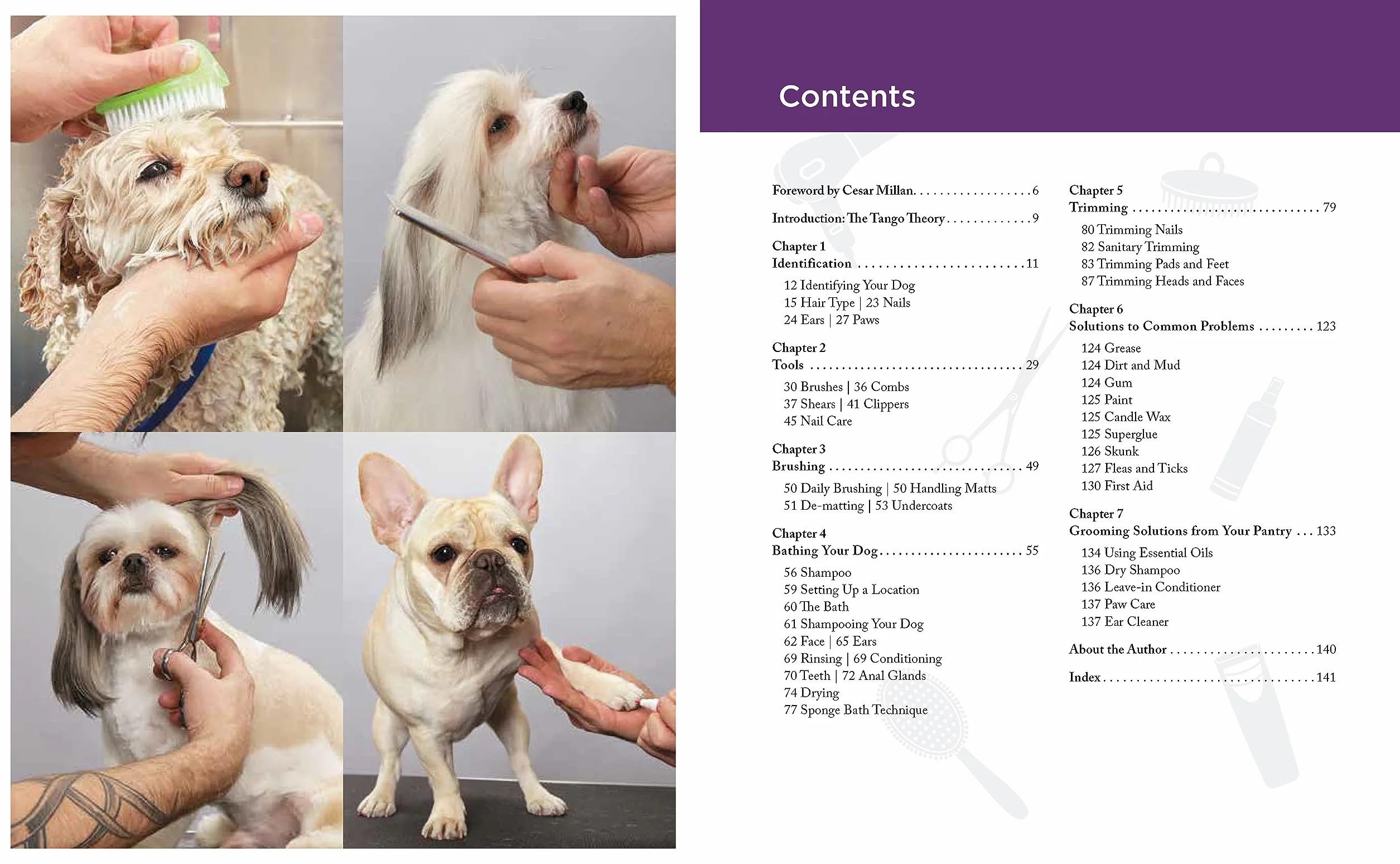Dog Grooming for Beginners: Simple Techniques for Washing, Trimming, Cleaning & Clipping All Breeds of Dogs
