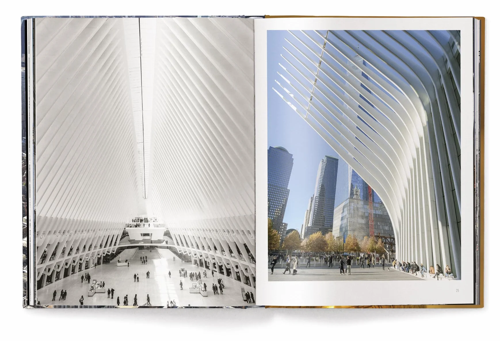 Christopher Bliss Iconic New York (New ed) /anglais: Revised Edition