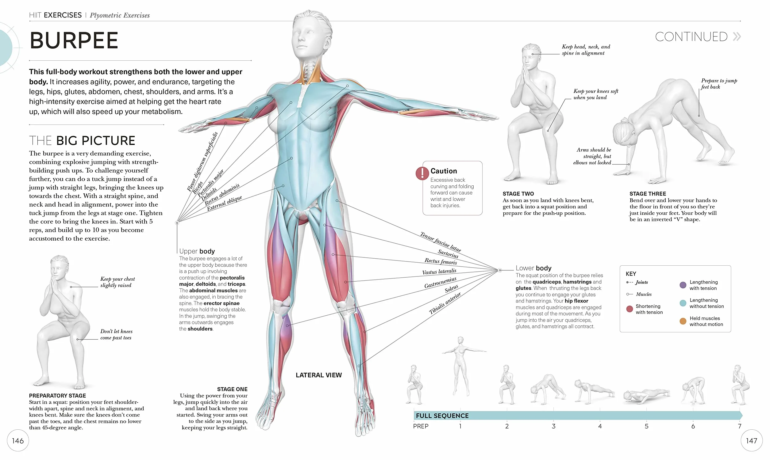 Science of HIIT: Understand the Anatomy and Physiology to Transform Your Body