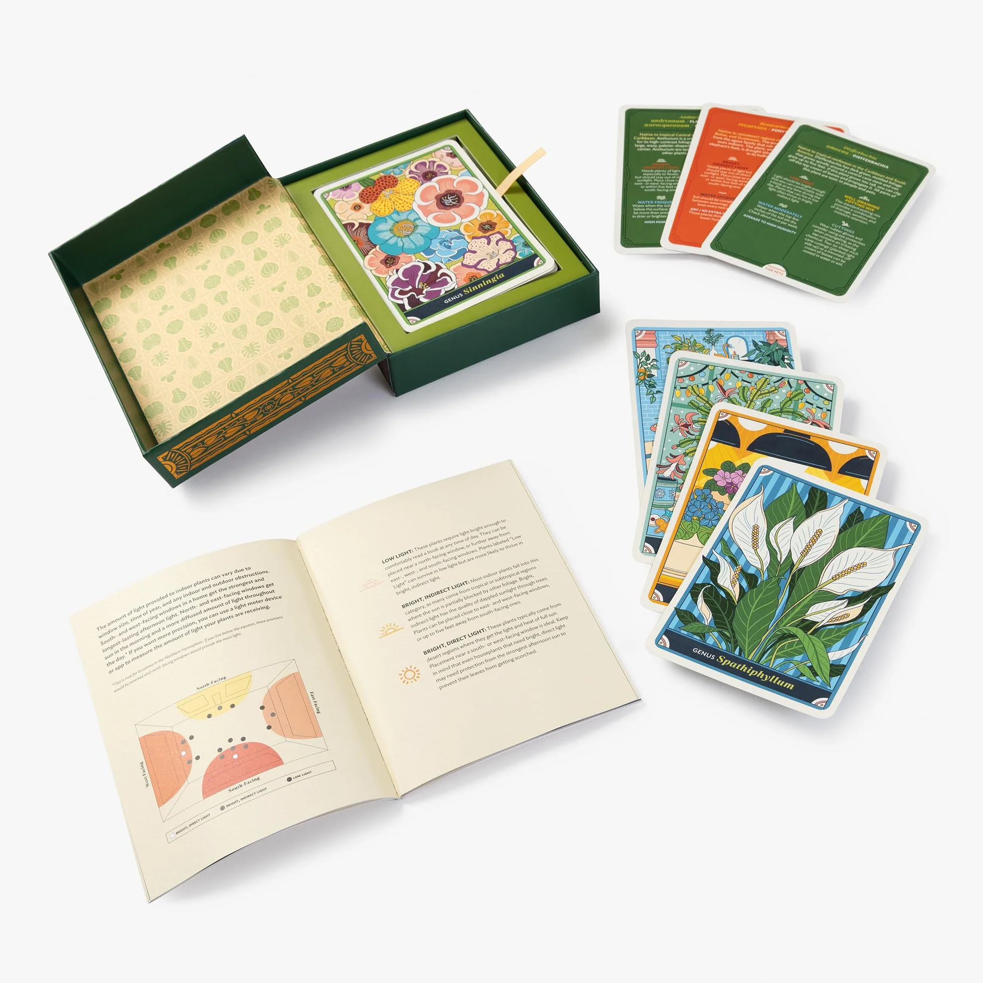 The Happy Houseplant Deck: 50 Cards for Intuitive Plant Care