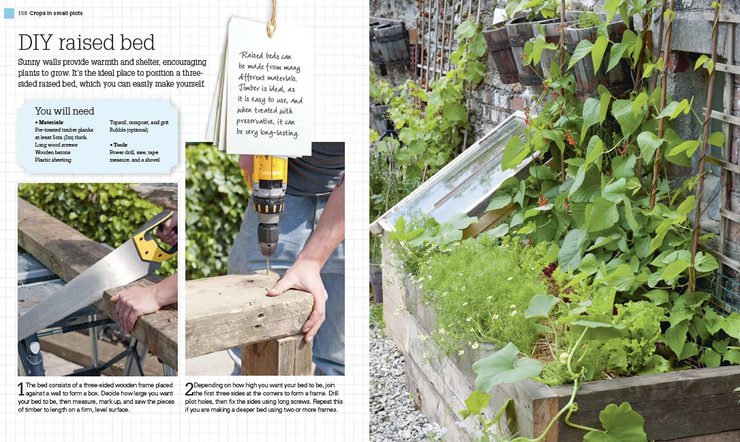 Grow All You Can Eat In Three Square Feet: Inventive Ideas for Growing Food in a Small Space