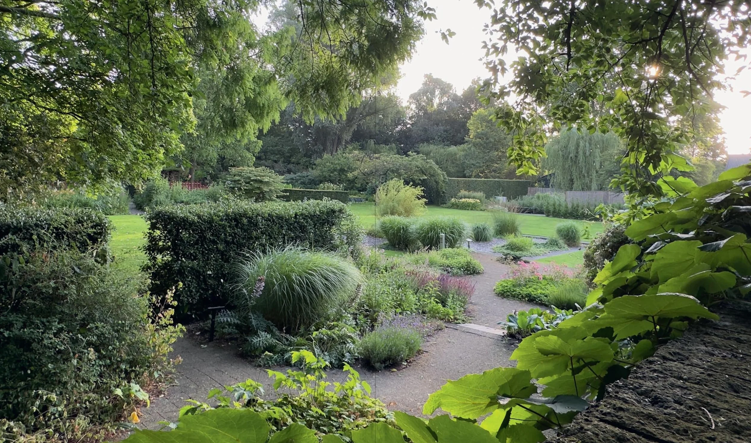 The Gardens of Mien Ruys: Strong Design, Lush Planting, and the Origins of the Modernist Garden