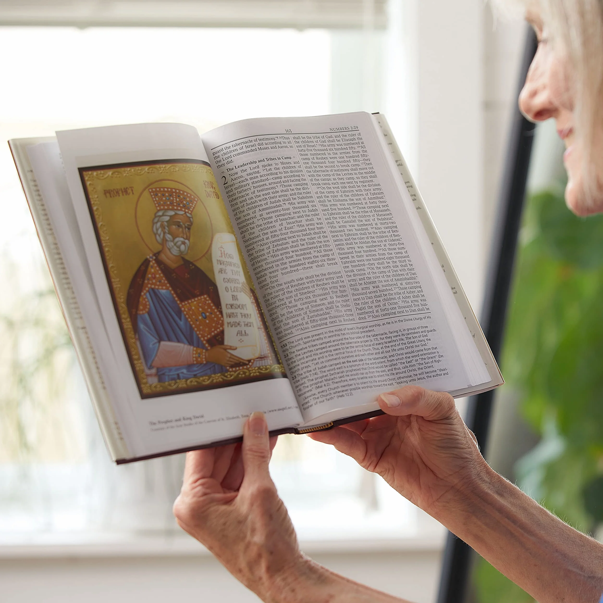 Orthodox Study Bible-OE-With Some NKJV: Ancient Christianity Speaks to Today's World