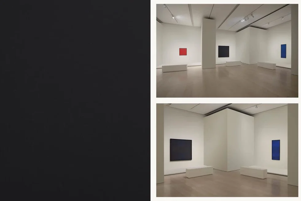 Ad Reinhardt: Color Out of Darkness /anglais: Curated by James Turrell