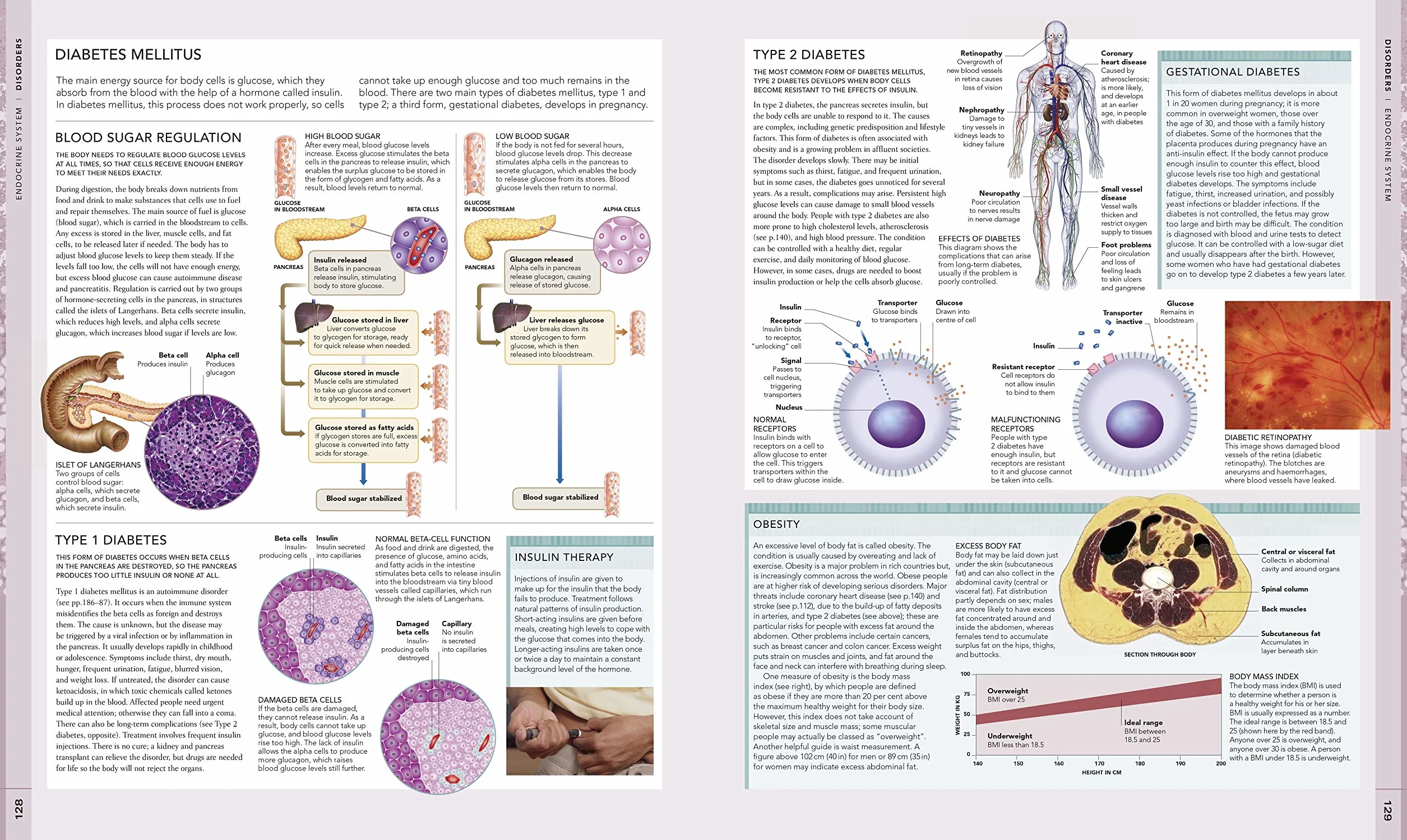 The Human Body Book