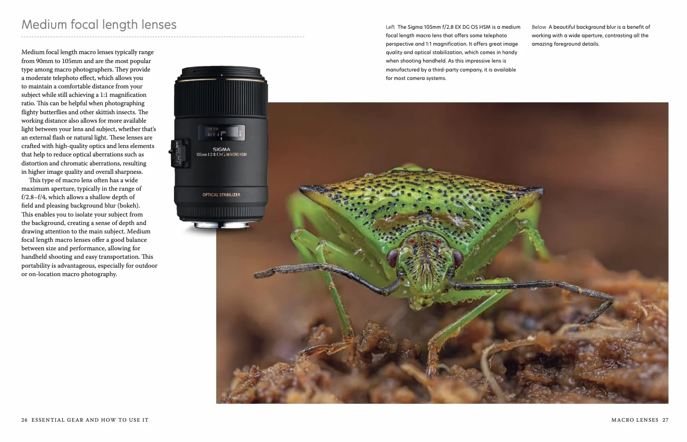 Close-Up: The Complete Guide to Macro Photography