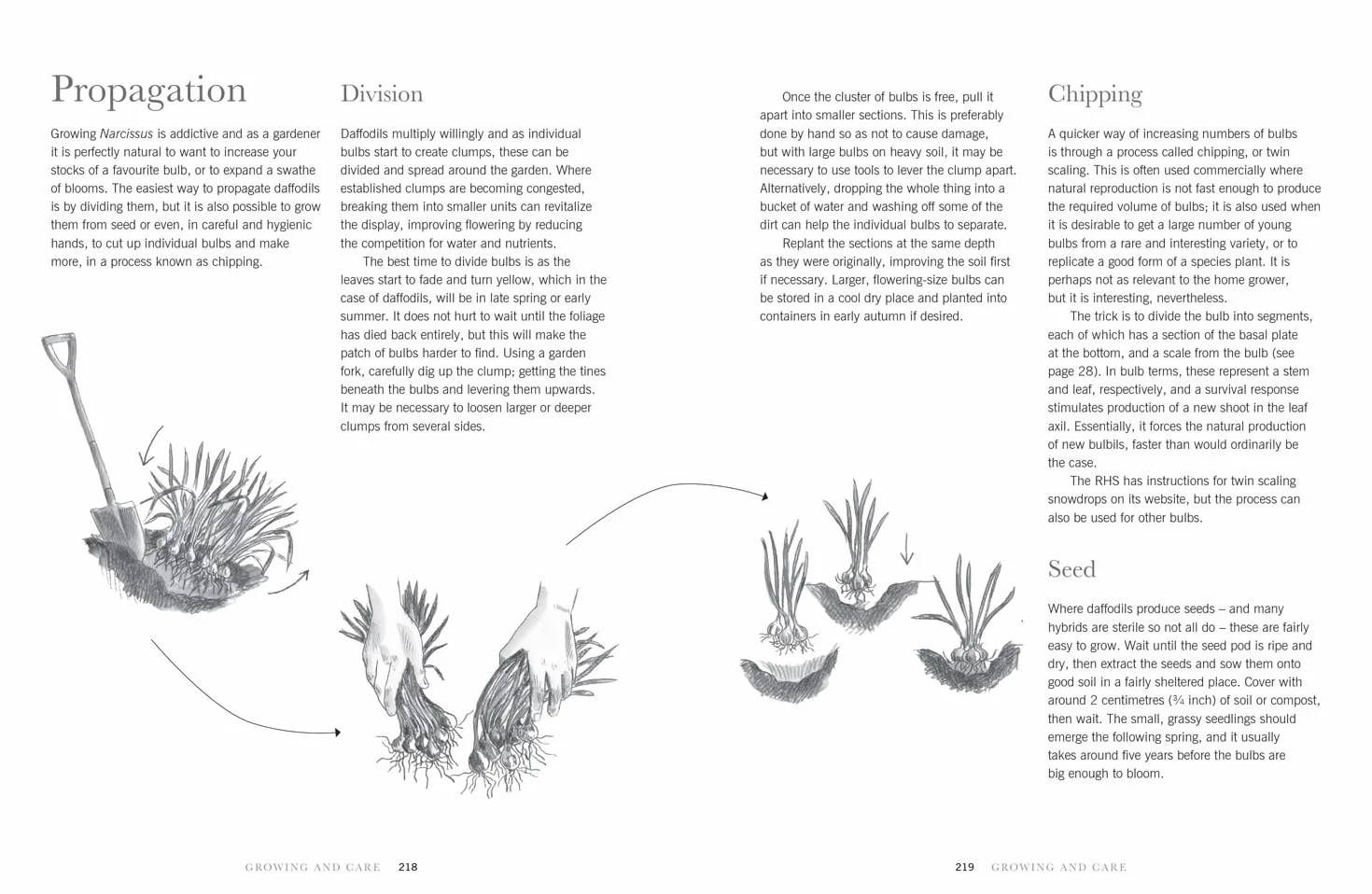 Daffodils: The ultimate guide for growing, flowering and cutting beautiful narcissi varieties for daffodils at home and in the garden