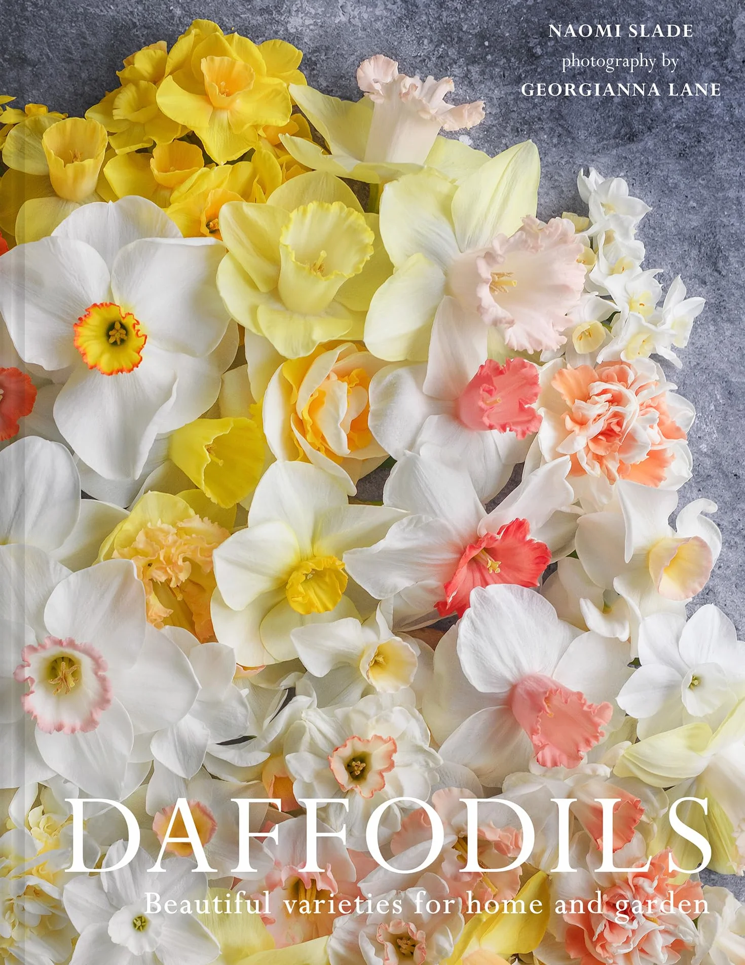 Daffodils: The ultimate guide for growing, flowering and cutting beautiful narcissi varieties for daffodils at home and in the garden
