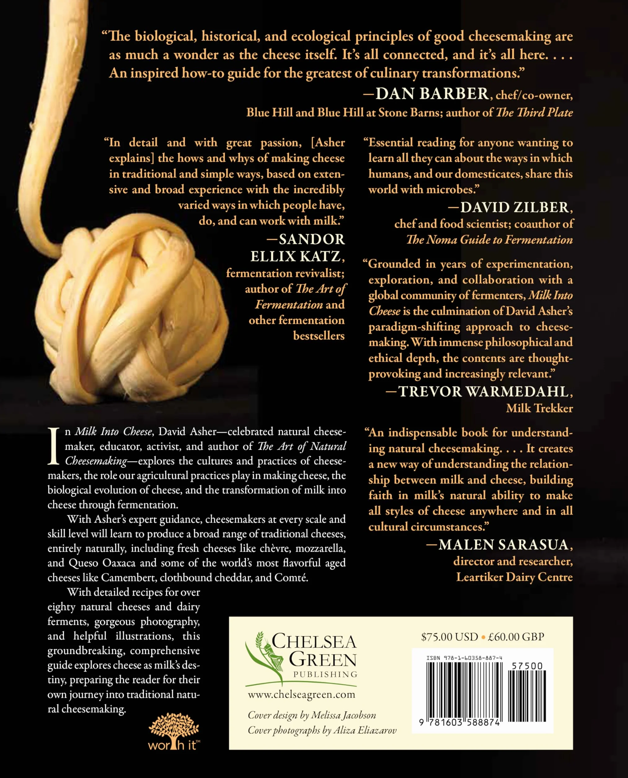Milk Into Cheese: The Foundations of Natural Cheesemaking Using Traditional Concepts, Tools, and Techniques