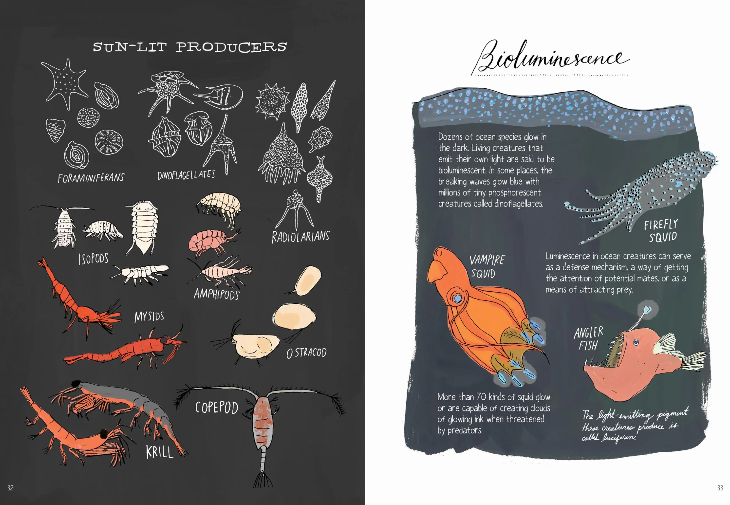 Ocean Anatomy: The Curious Parts & Pieces of the World Under the Sea: 1