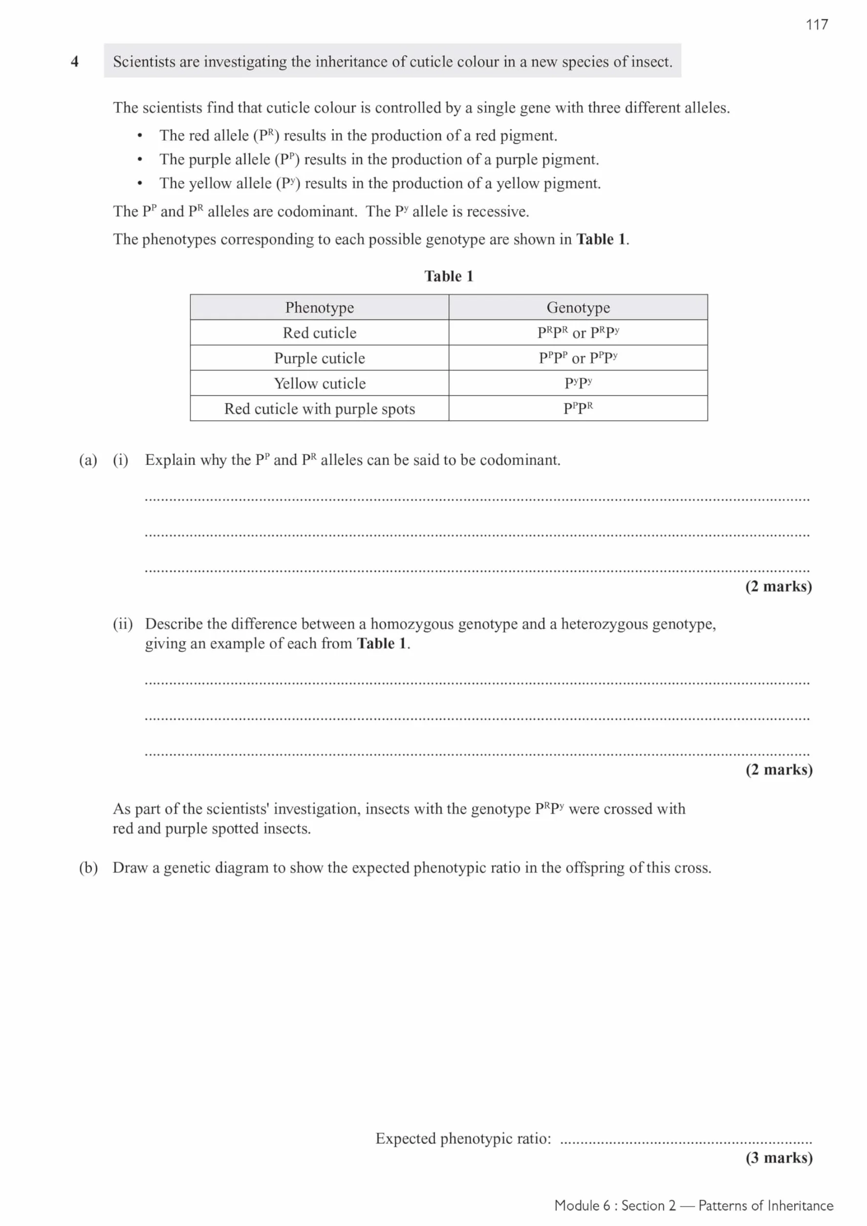 A-Level Biology: OCR A Year 1 & 2 Exam Practice Workbook includes Answers