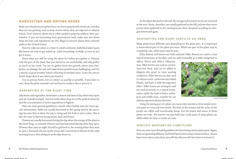The Modern Herbal Dispensatory: A Medicine-Making Guide
