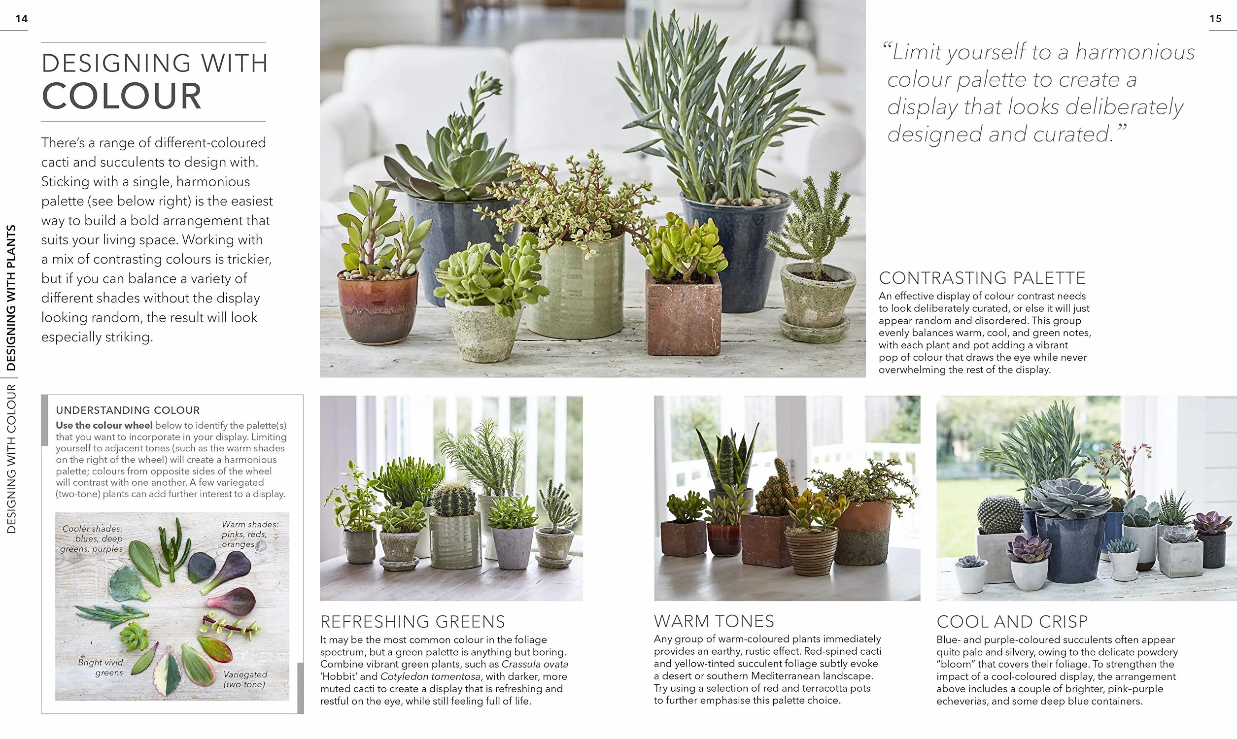 RHS Practical Cactus and Succulent Book: How to Choose, Nurture, and Display more than 200 Cacti and Succulents