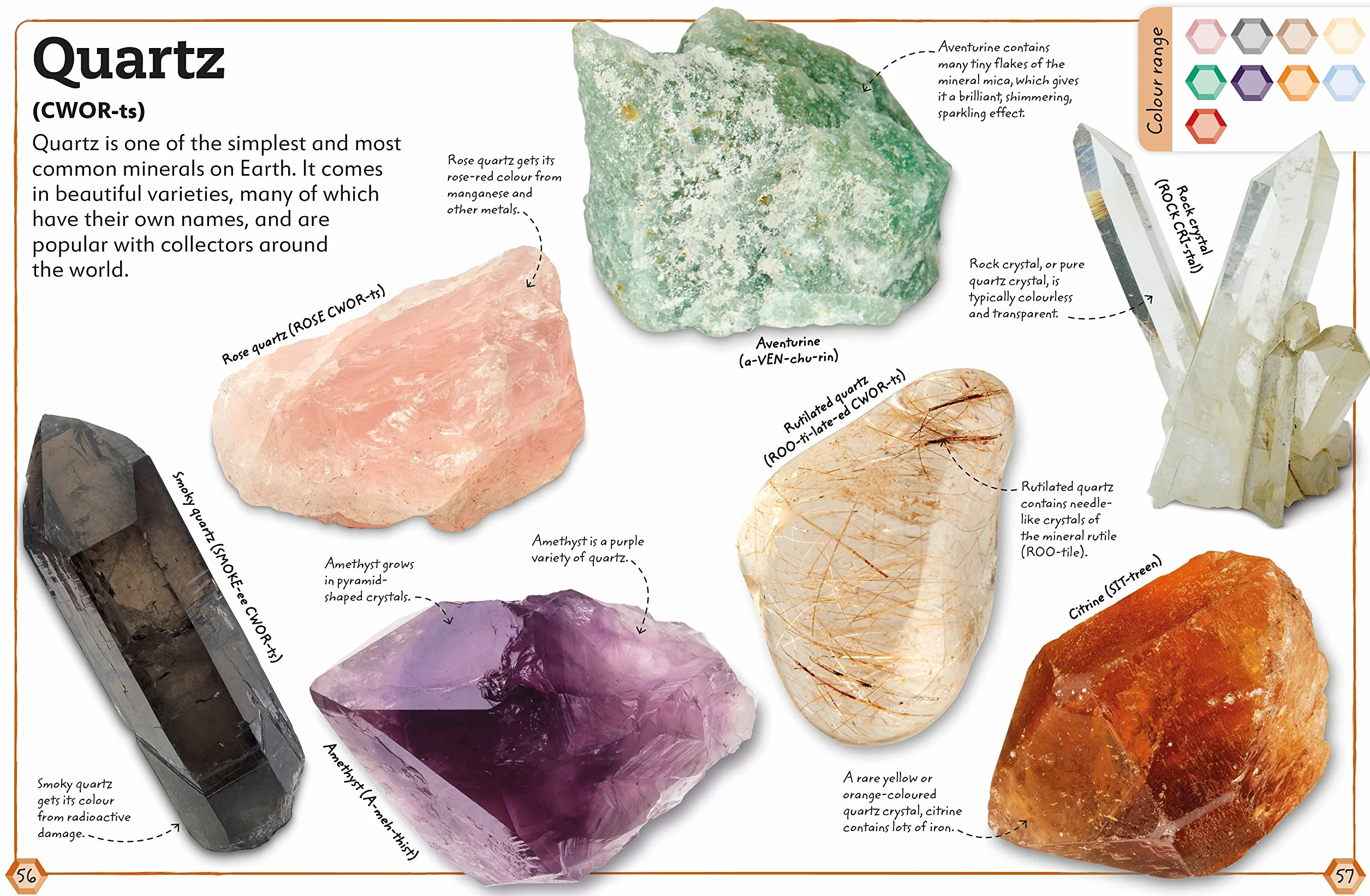 My Book of Rocks and Minerals: Things to Find, Collect, and Treasure