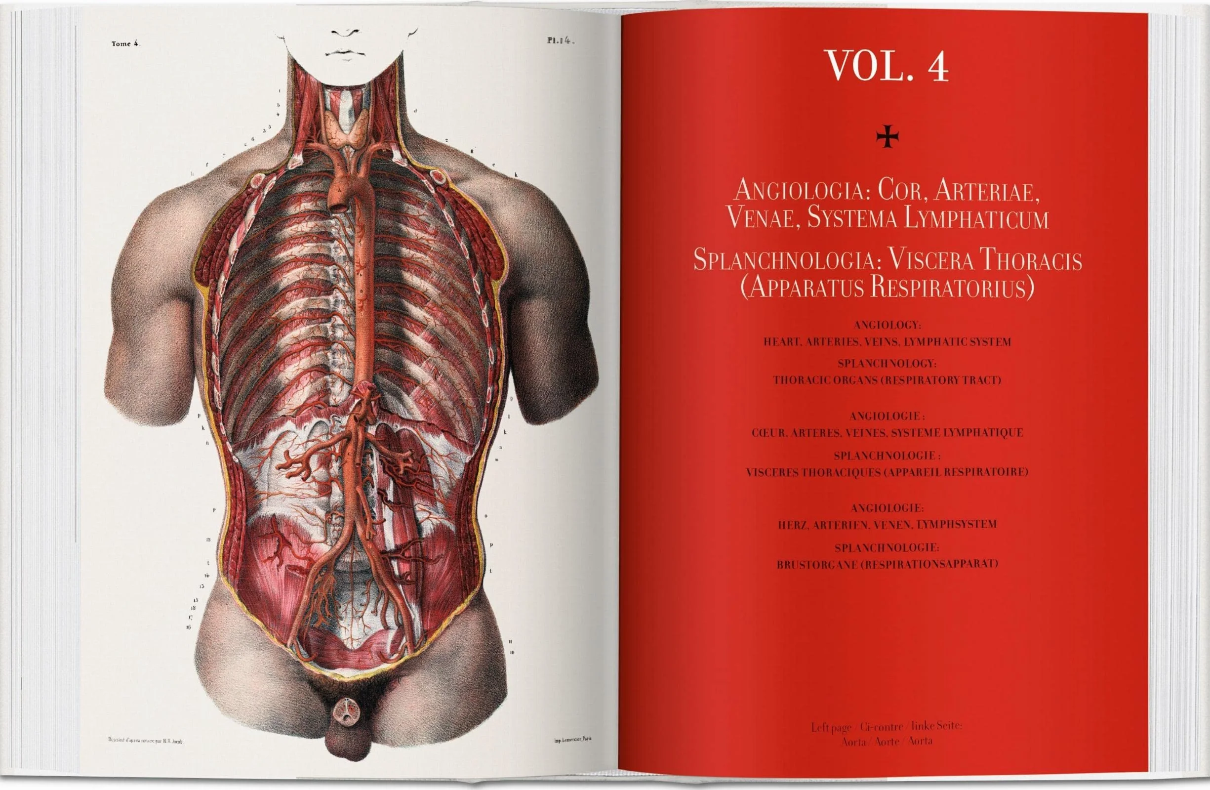 Atlas of Human Anatomy and Surgery