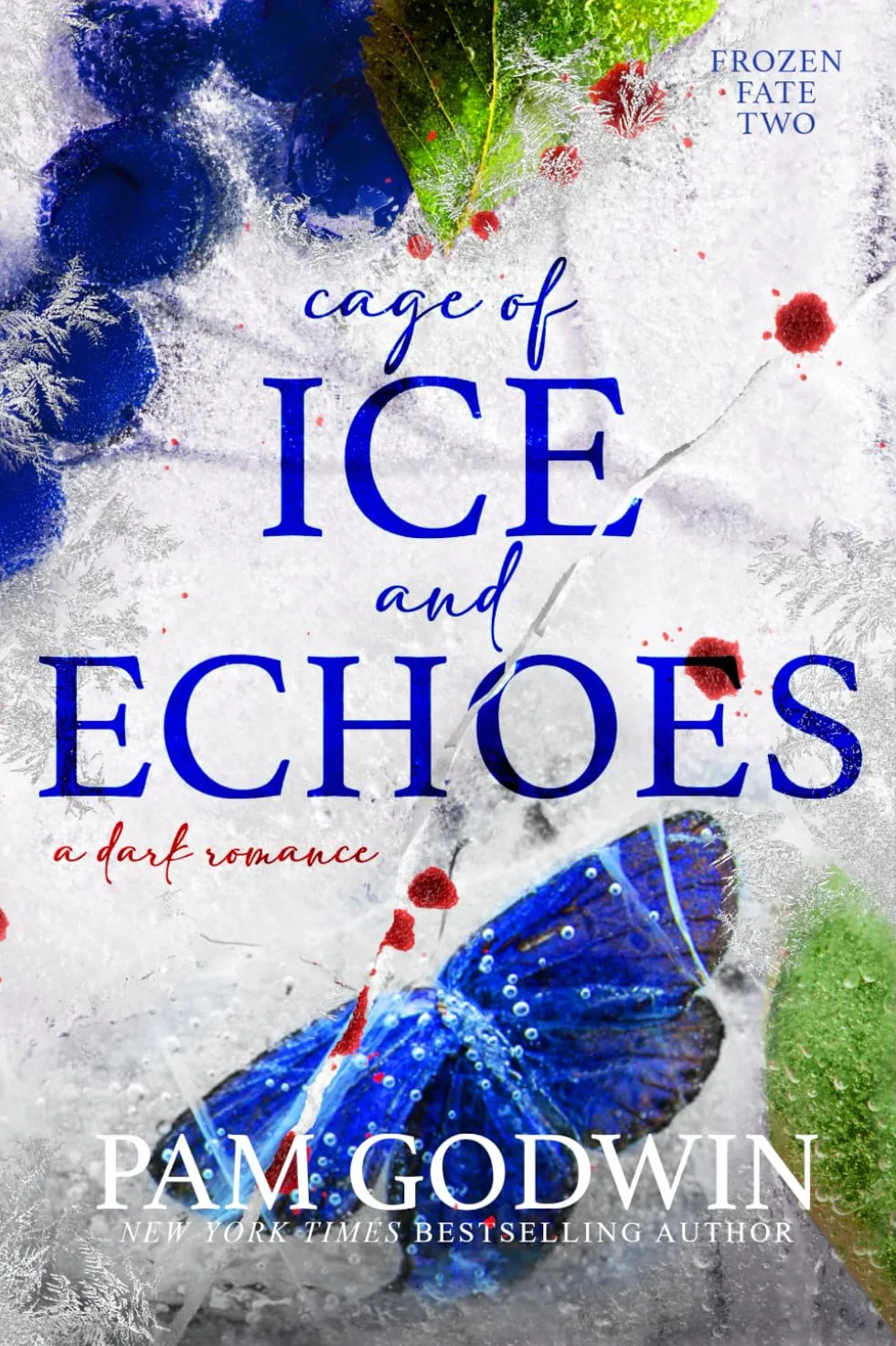 Cage of Ice and Echoes