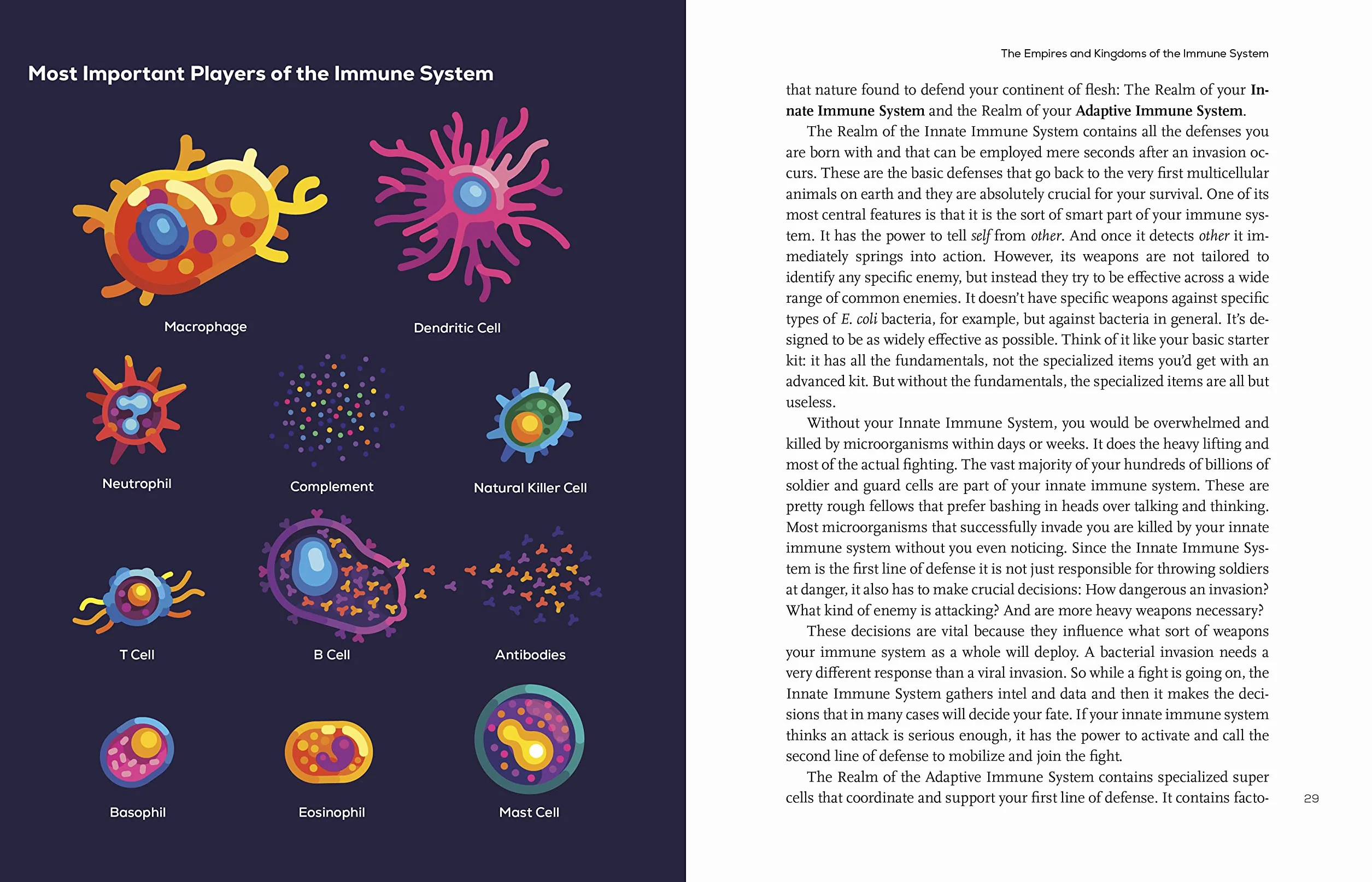 Immune: A Journey into the Mysterious System That Keeps You Alive