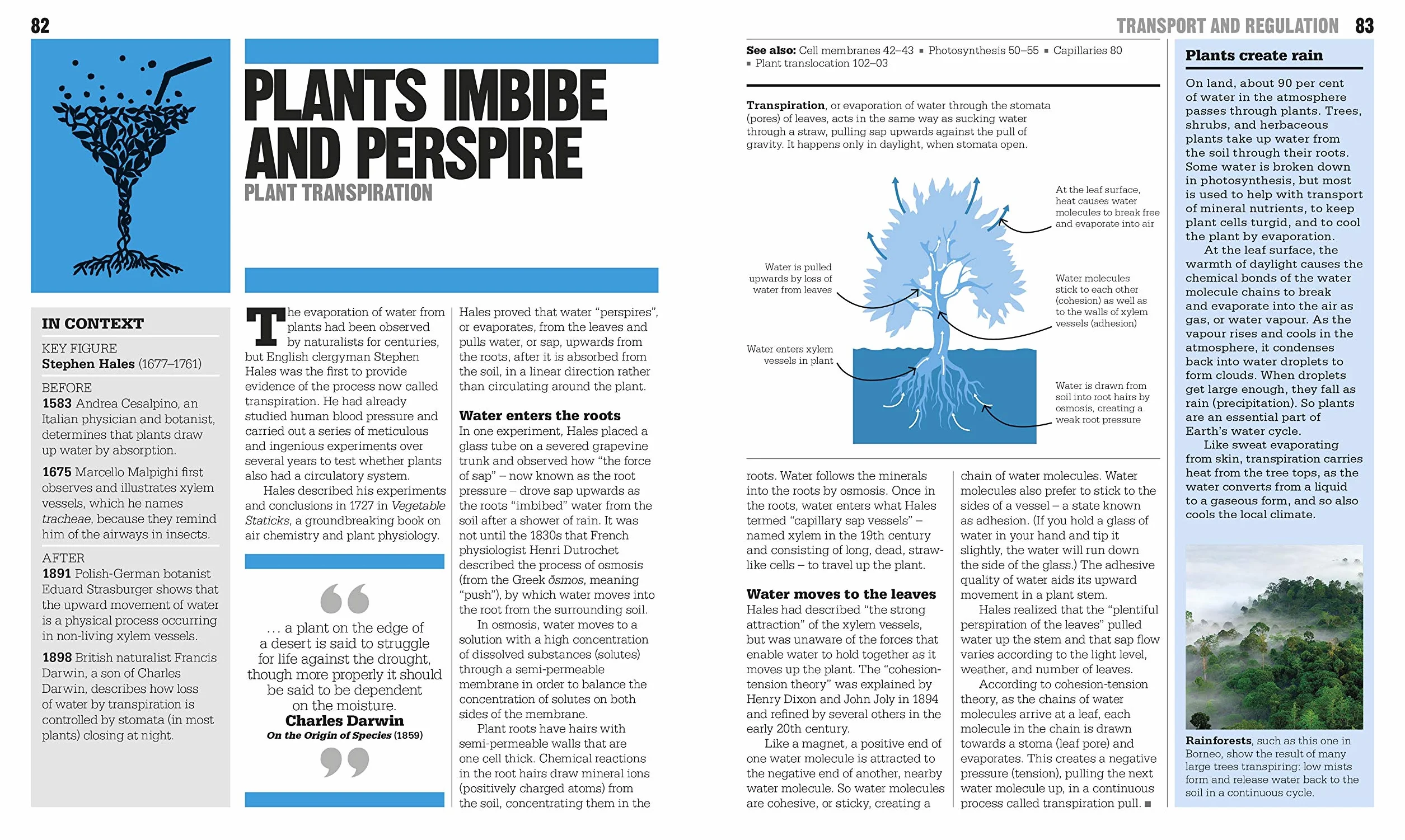 The Biology Book: Big Ideas Simply Explained