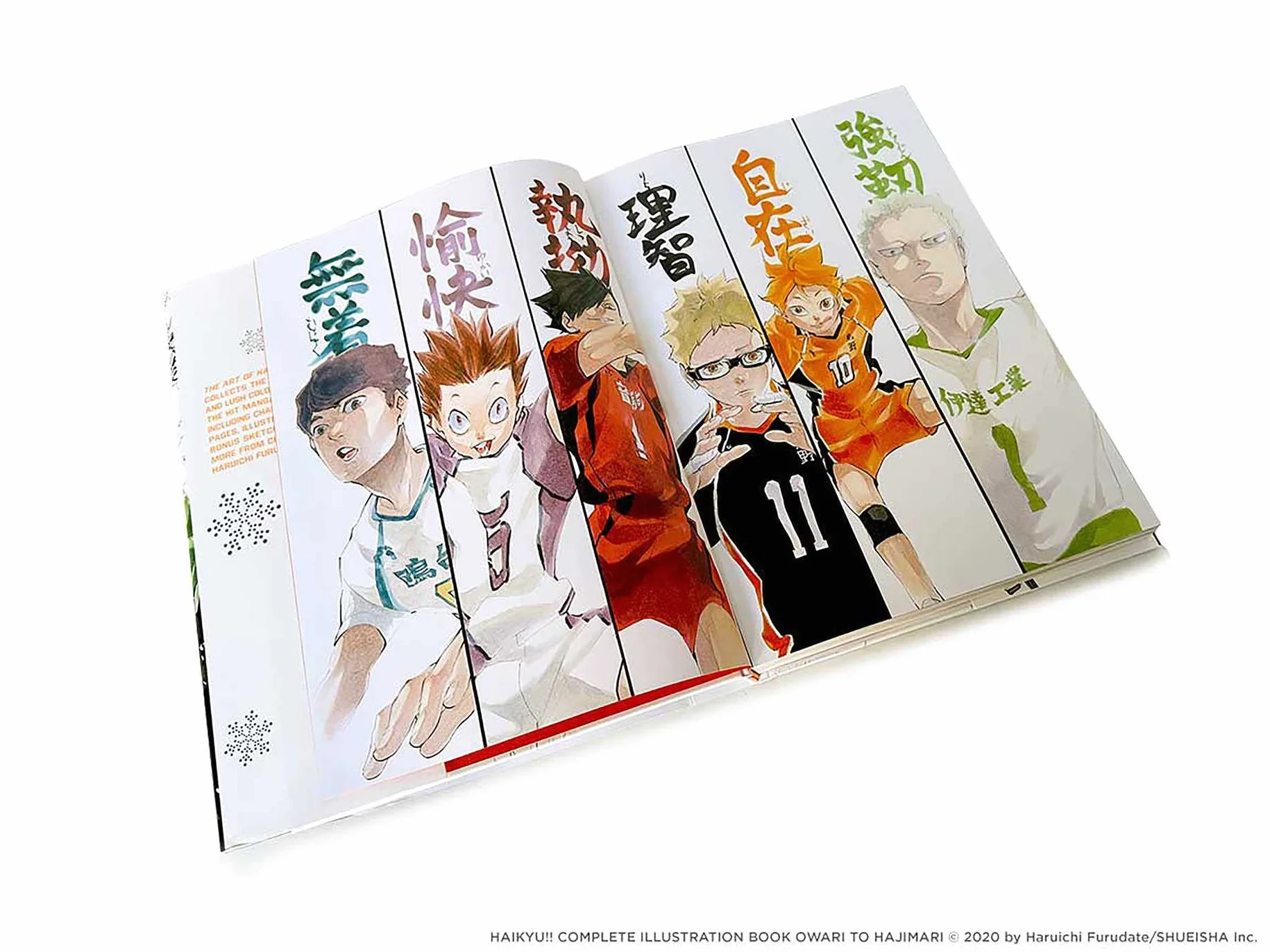 The Art of Haikyu!!: Endings and Beginnings